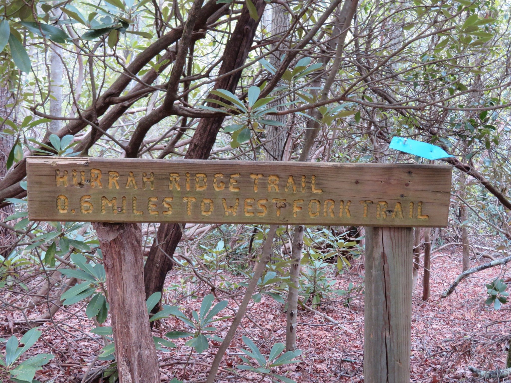 Another Trail Marker