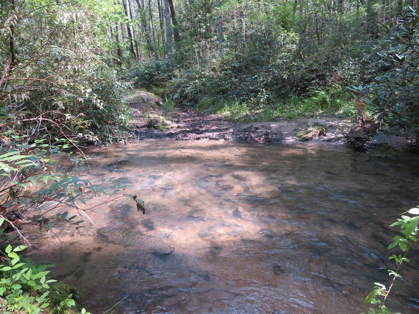 Water Crossing at Gold Mine Creek