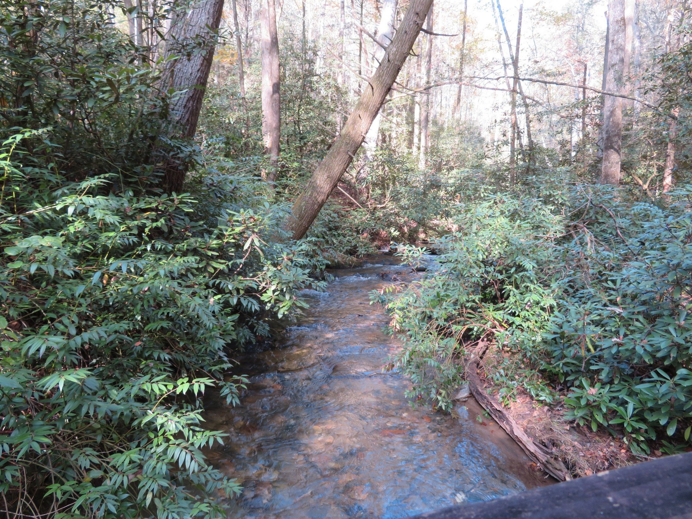 Martin Creek at on of Bridge crossings
