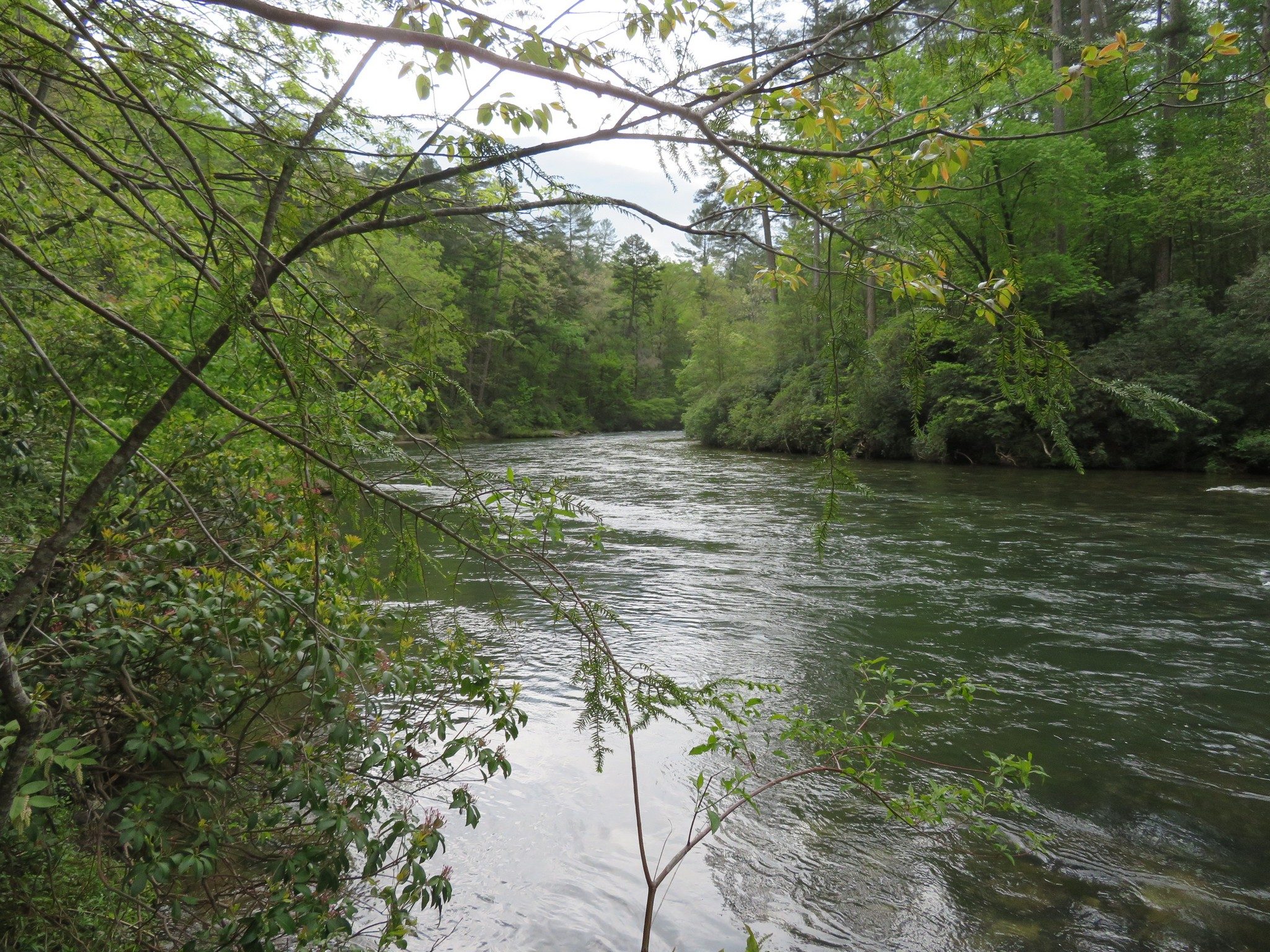 Chattooga River at 18.Miles