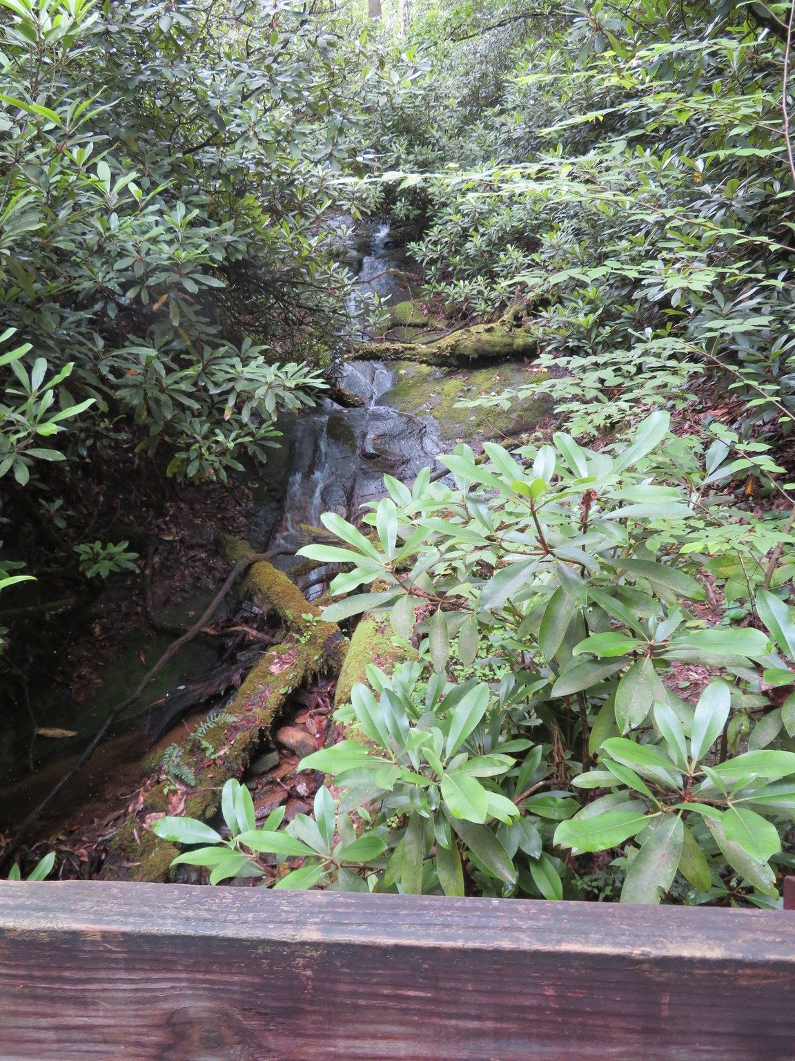 Stream confined to narrow cut in rock