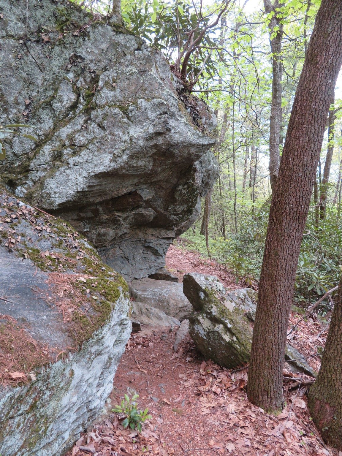 Rock Outcrop along Trail