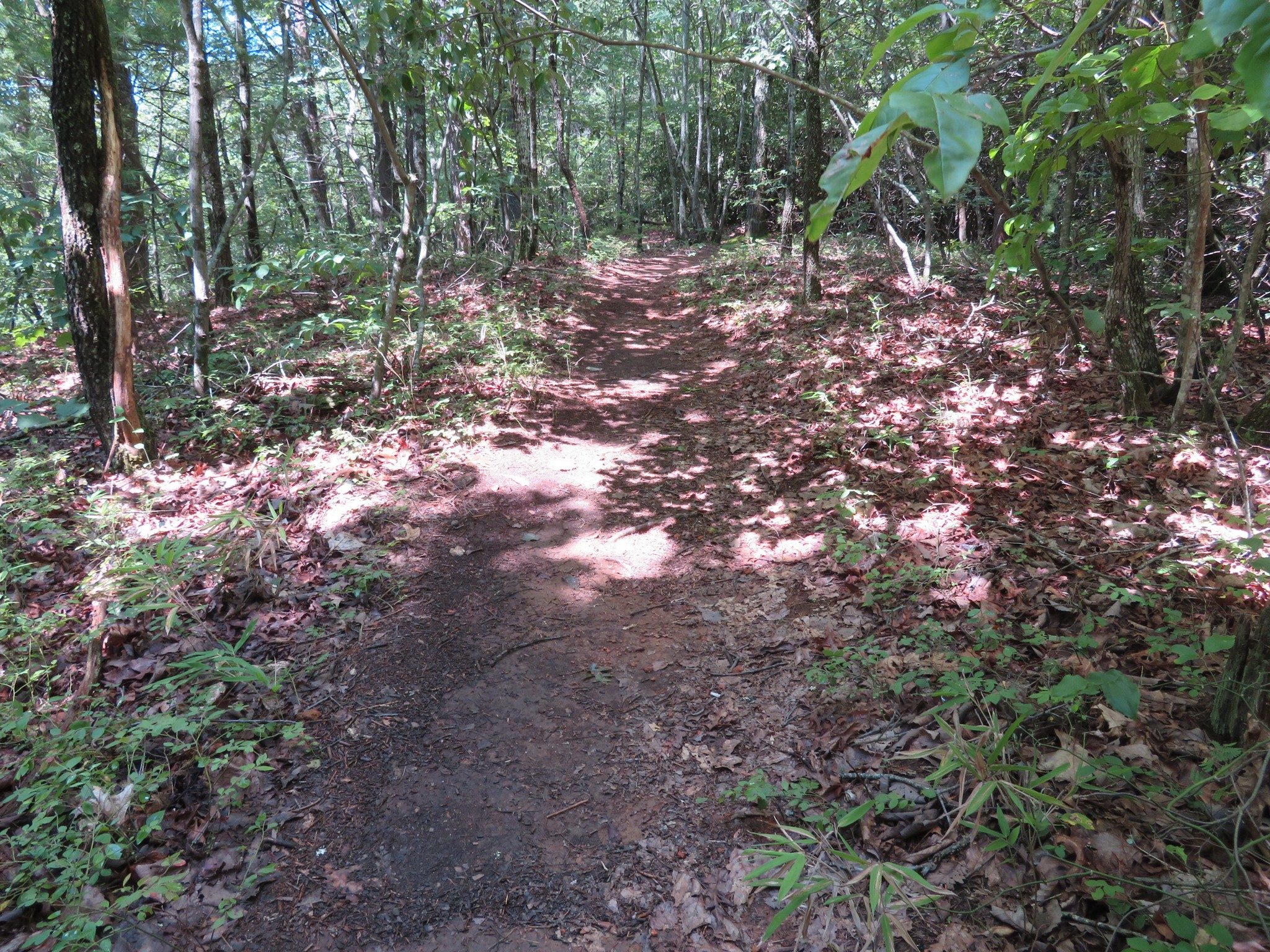 Path along Peak of Laurel Ridge Trail