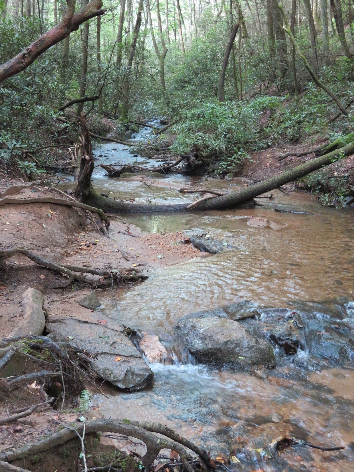 Justus Creek looking upstream at crossing