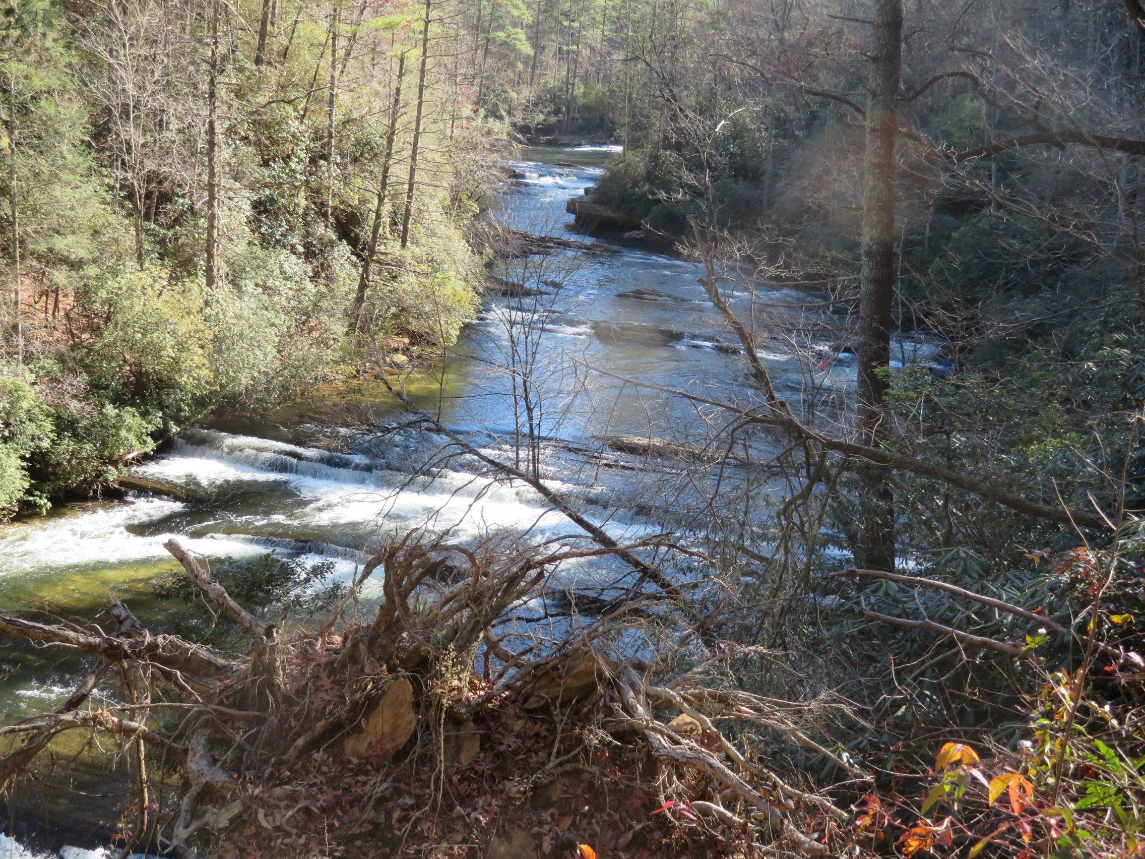 A view looking up the Chattooga River