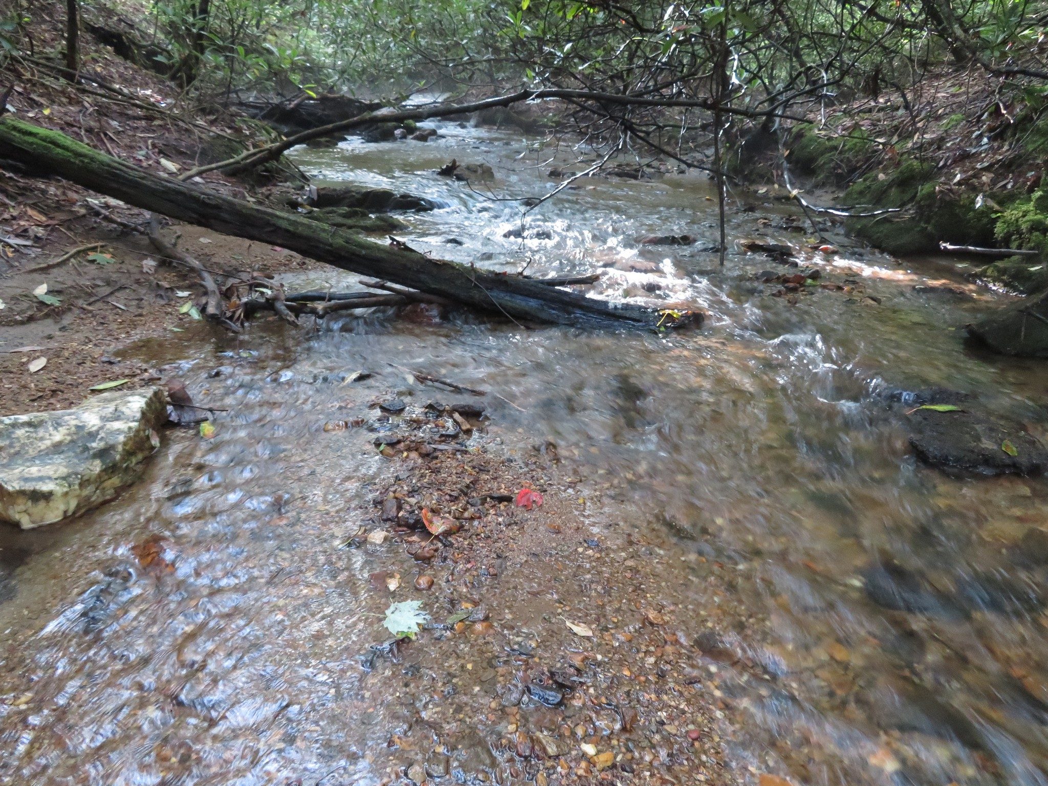 Blackwell Creek