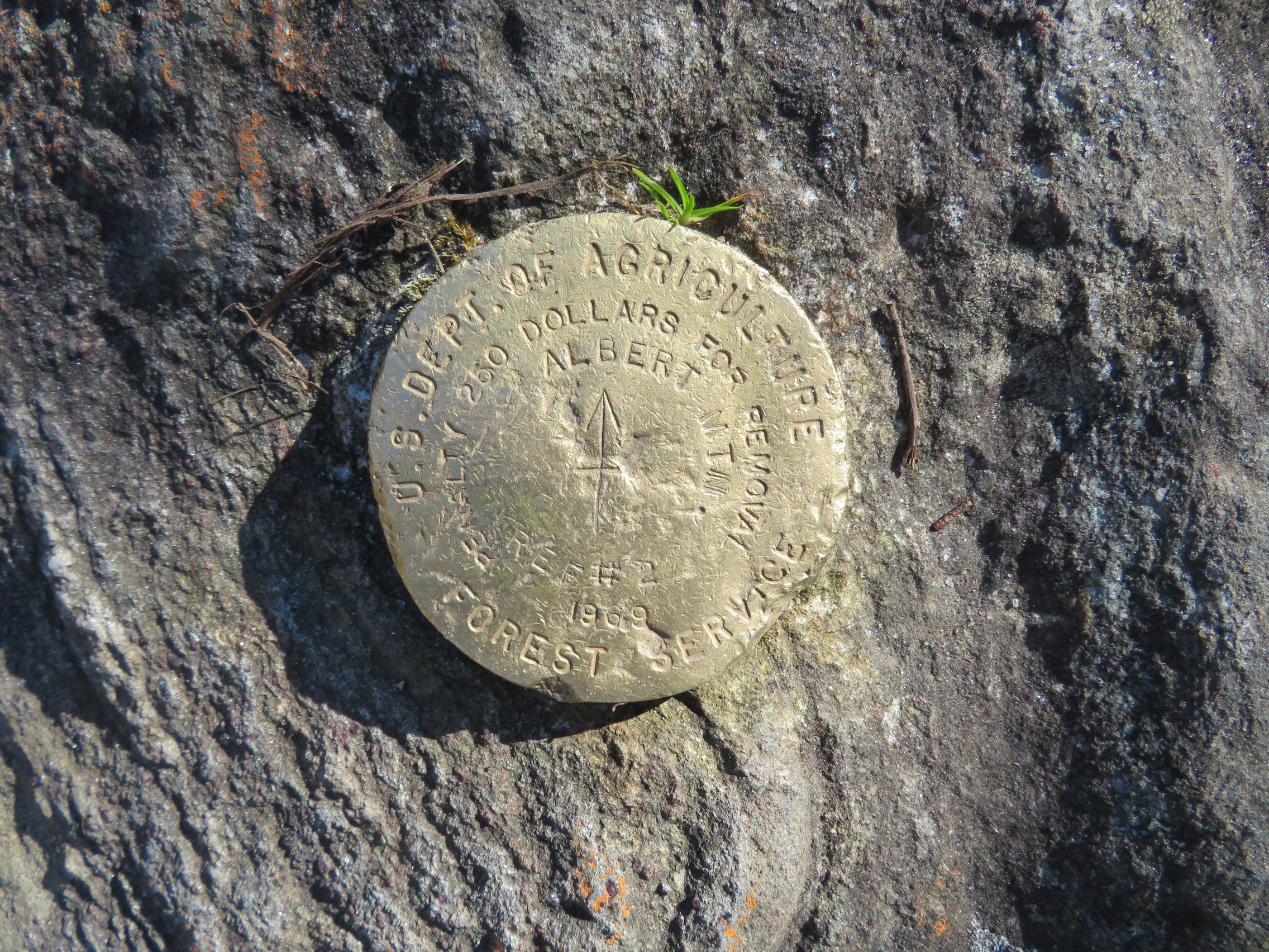 Survey marker on Albert Mtn.