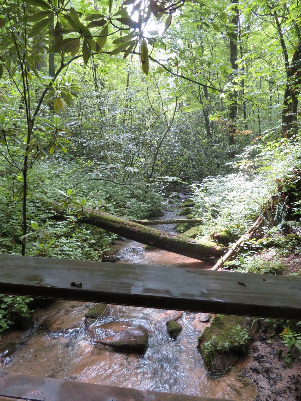 Upstream picture of one of many stream crossings