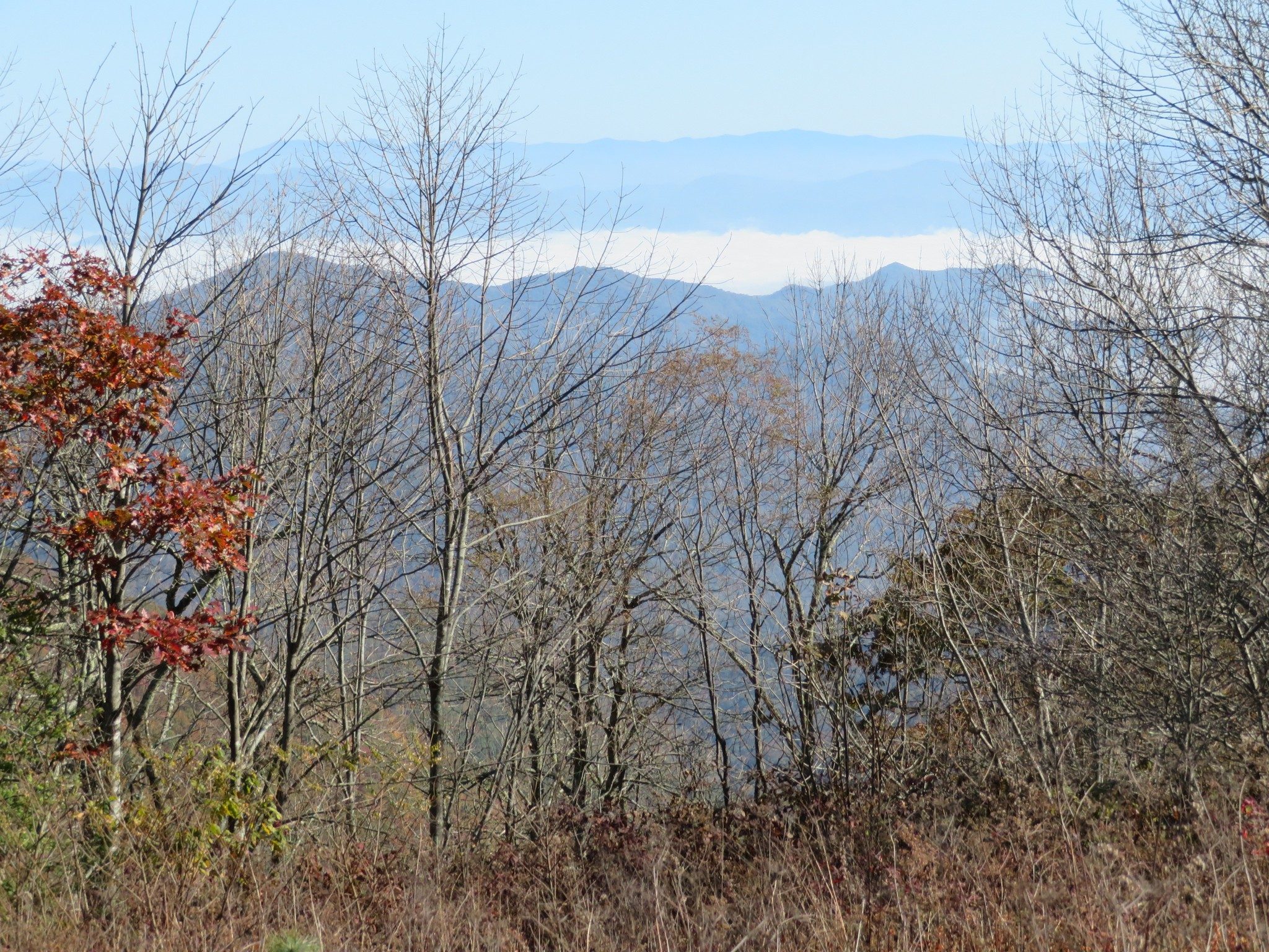 View to East headed down Siler Bald
