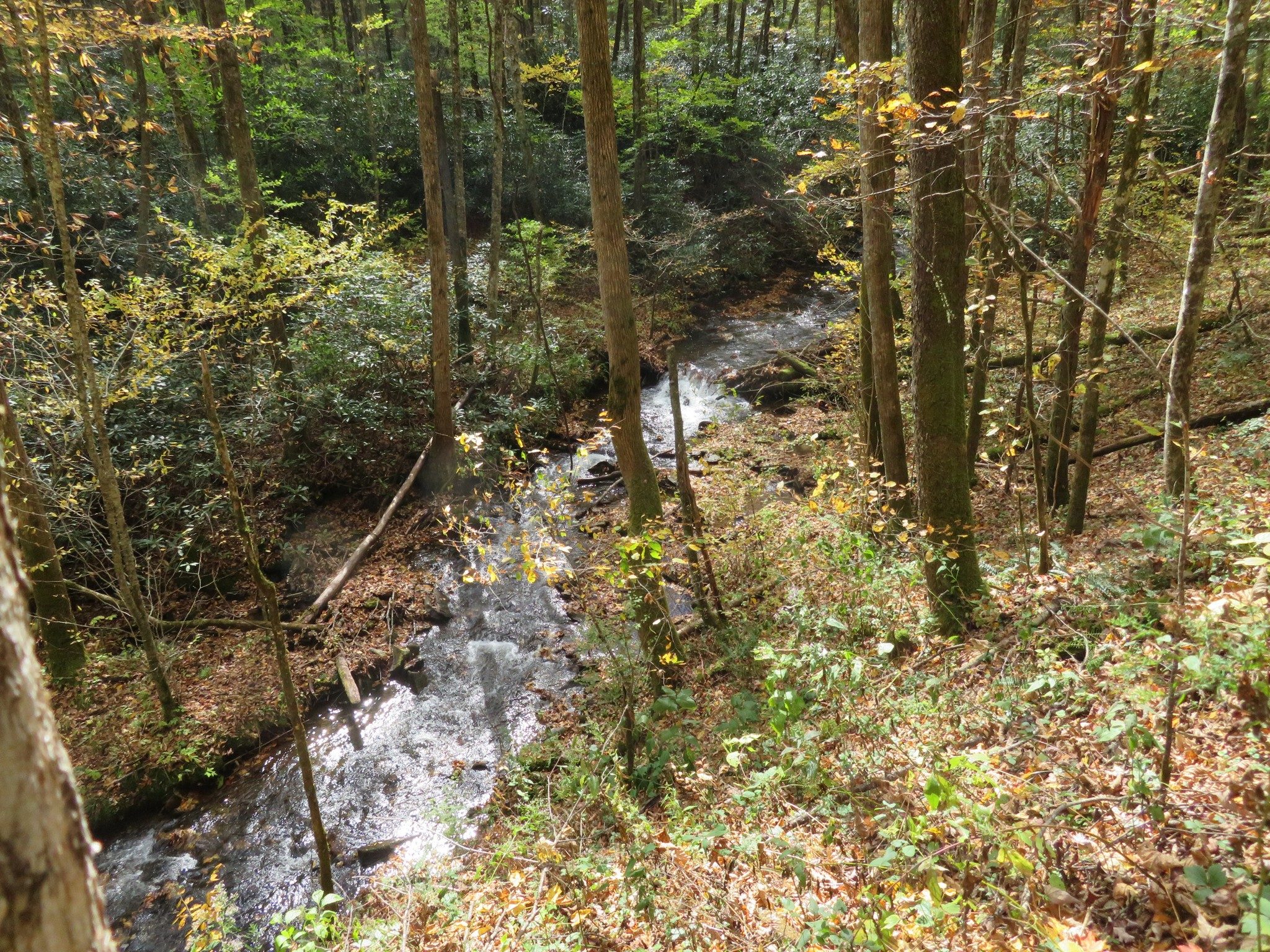 Park Creek is always nearby