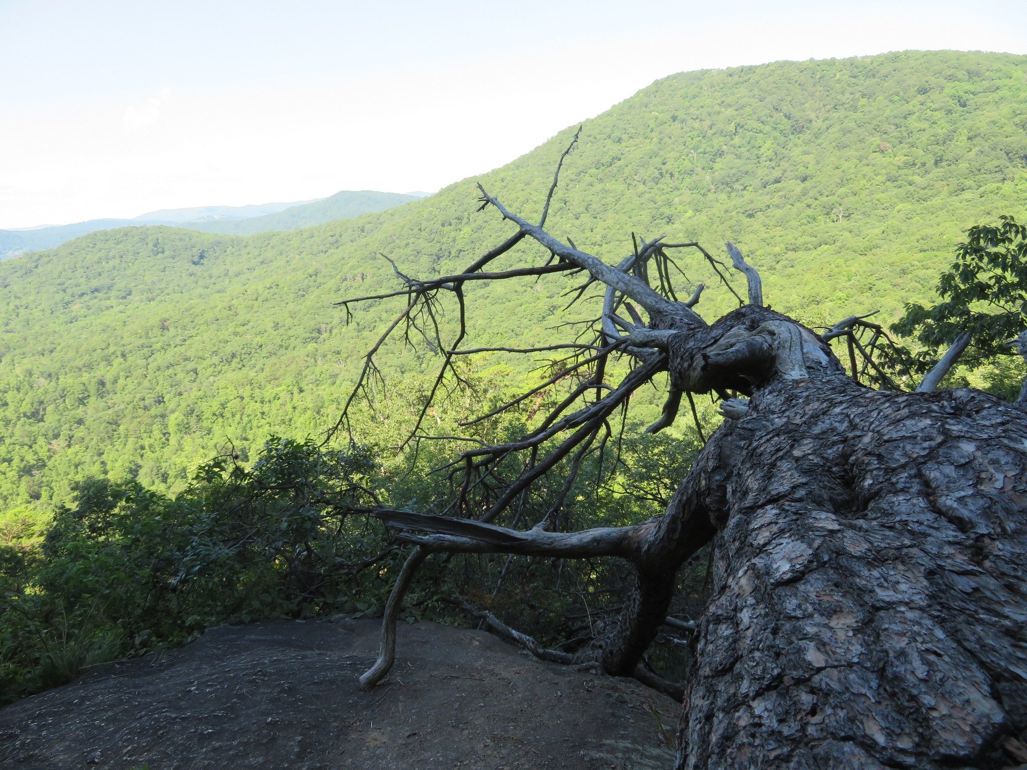 Scenic view from Big Rock Overlook