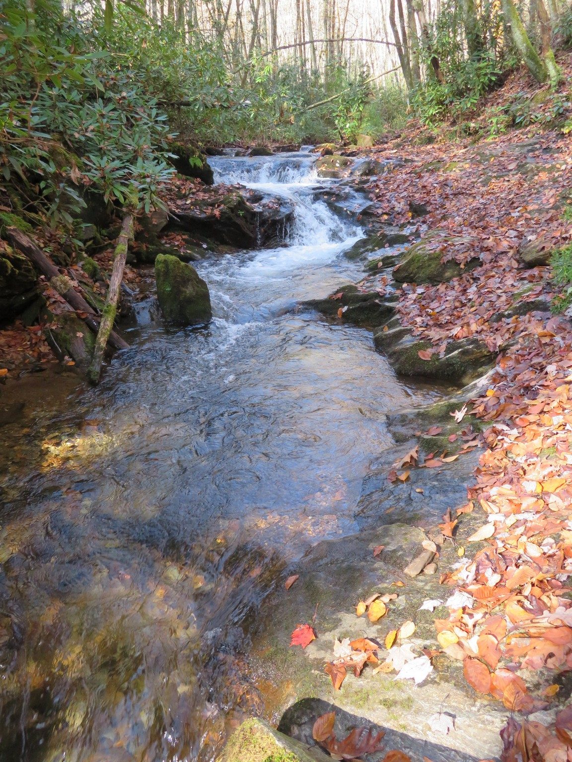 Lots of cascades along Kimsey Creek