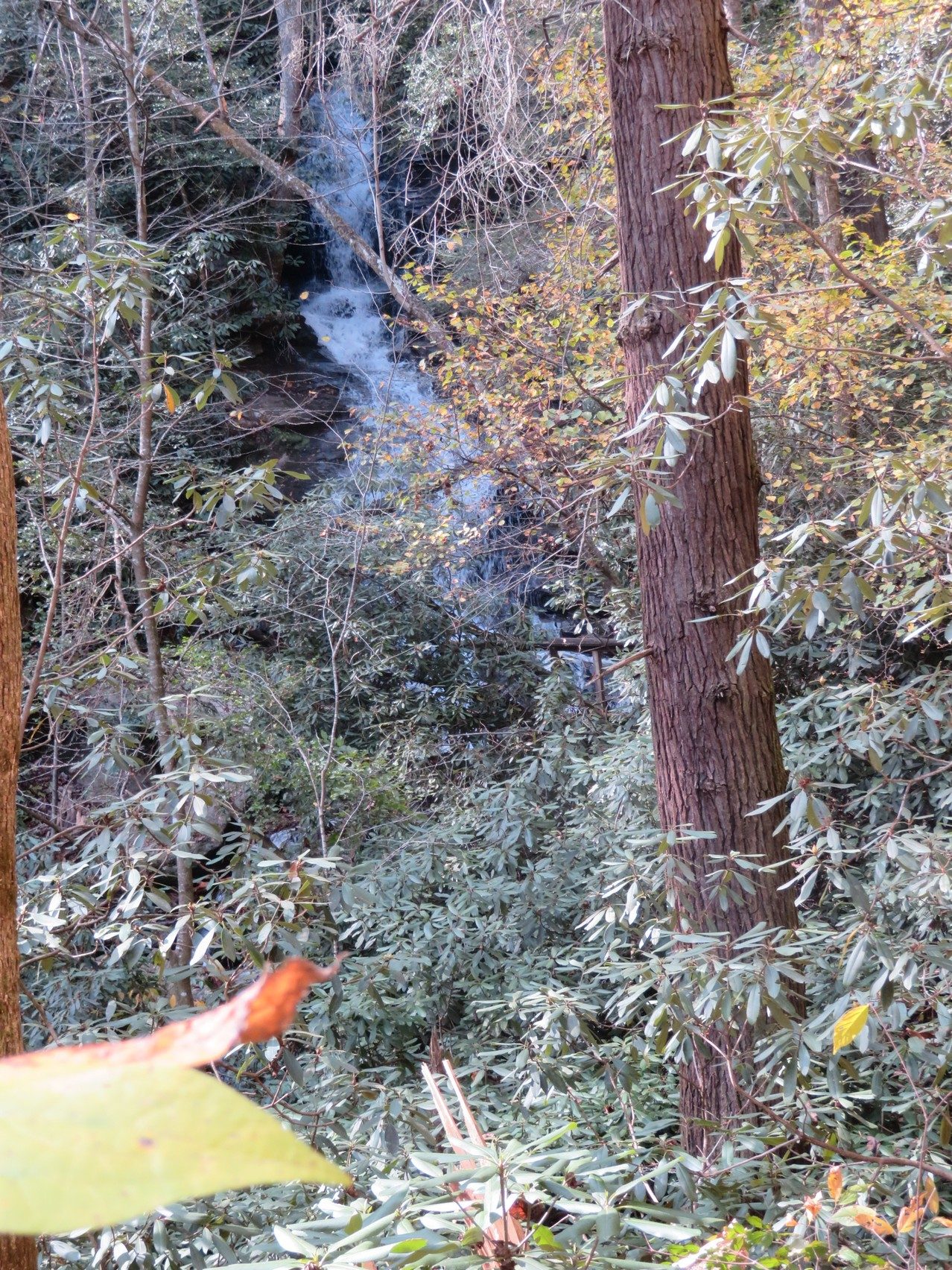 Another view of Becky Branch Falls through trees on return trail.