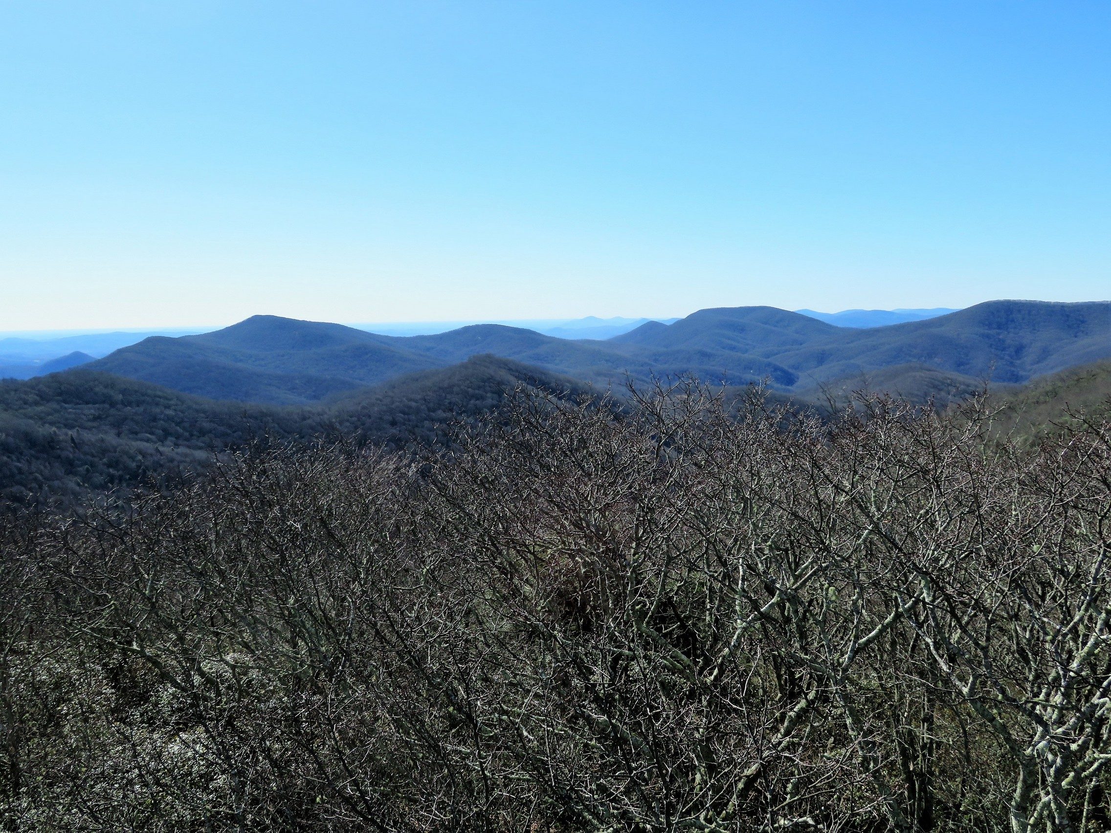 View from Albert Mtn.