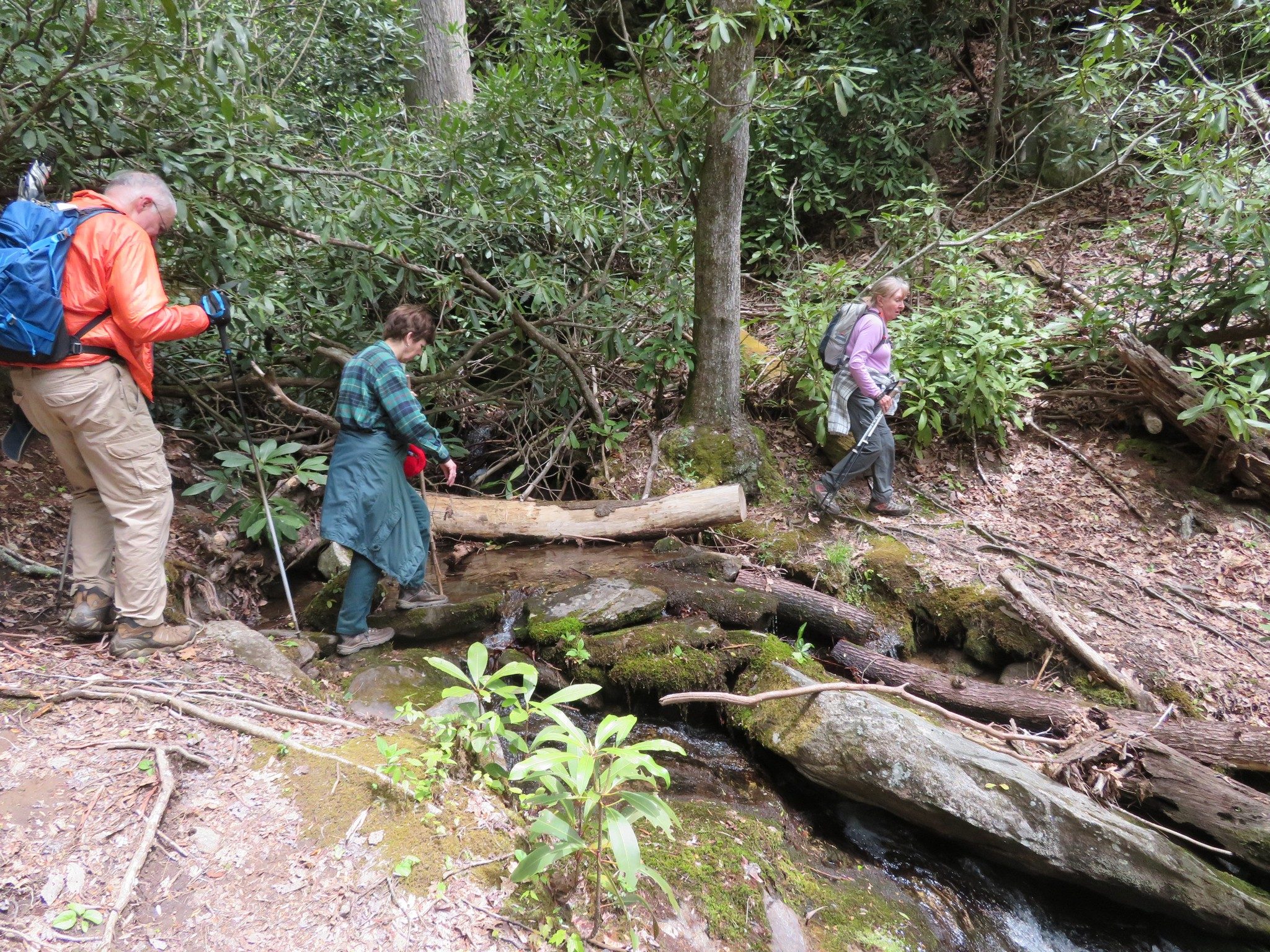 A small water crossing