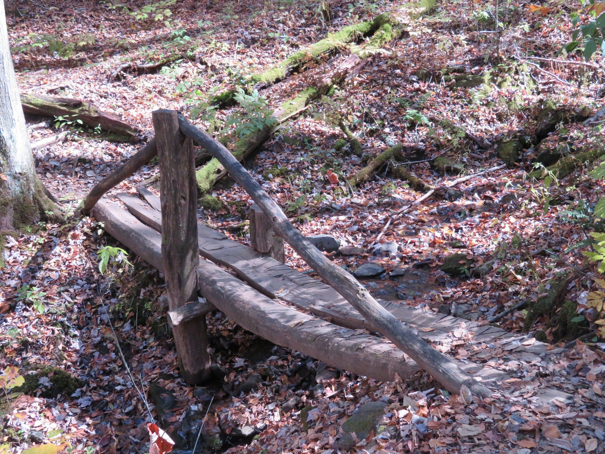 Simple bridge over drainage along AT
