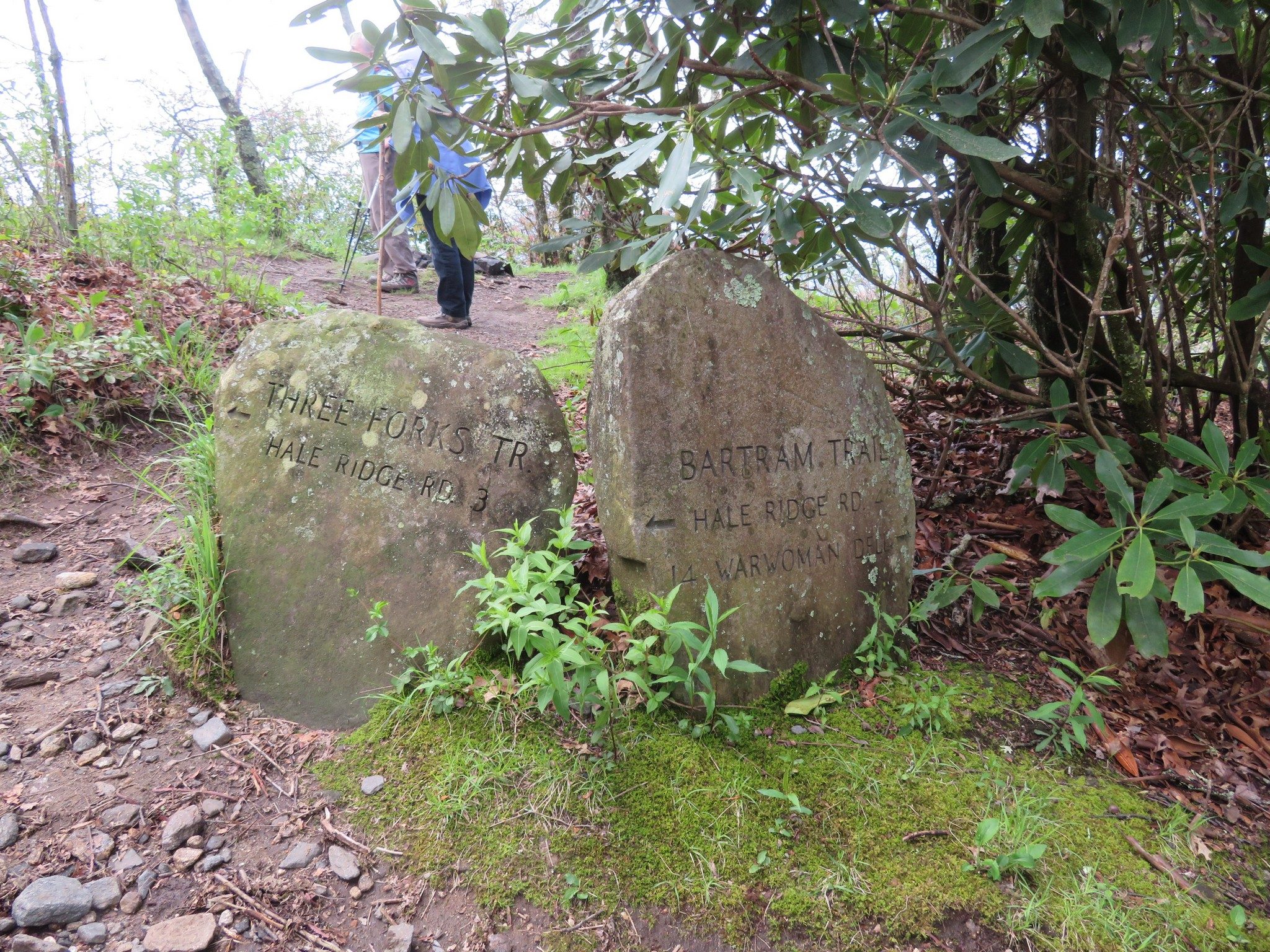 Directional Signs just below the peek.