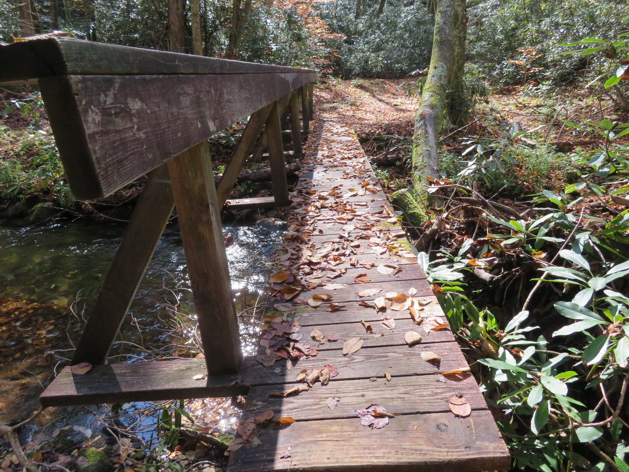 One of several bridges along trail