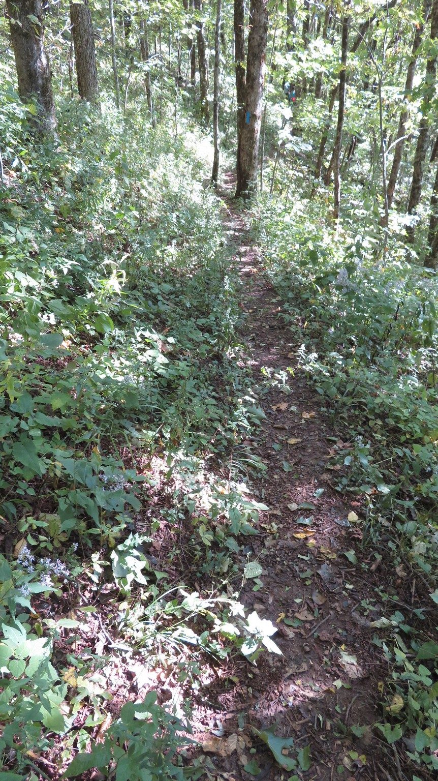 Trail down to headwaters