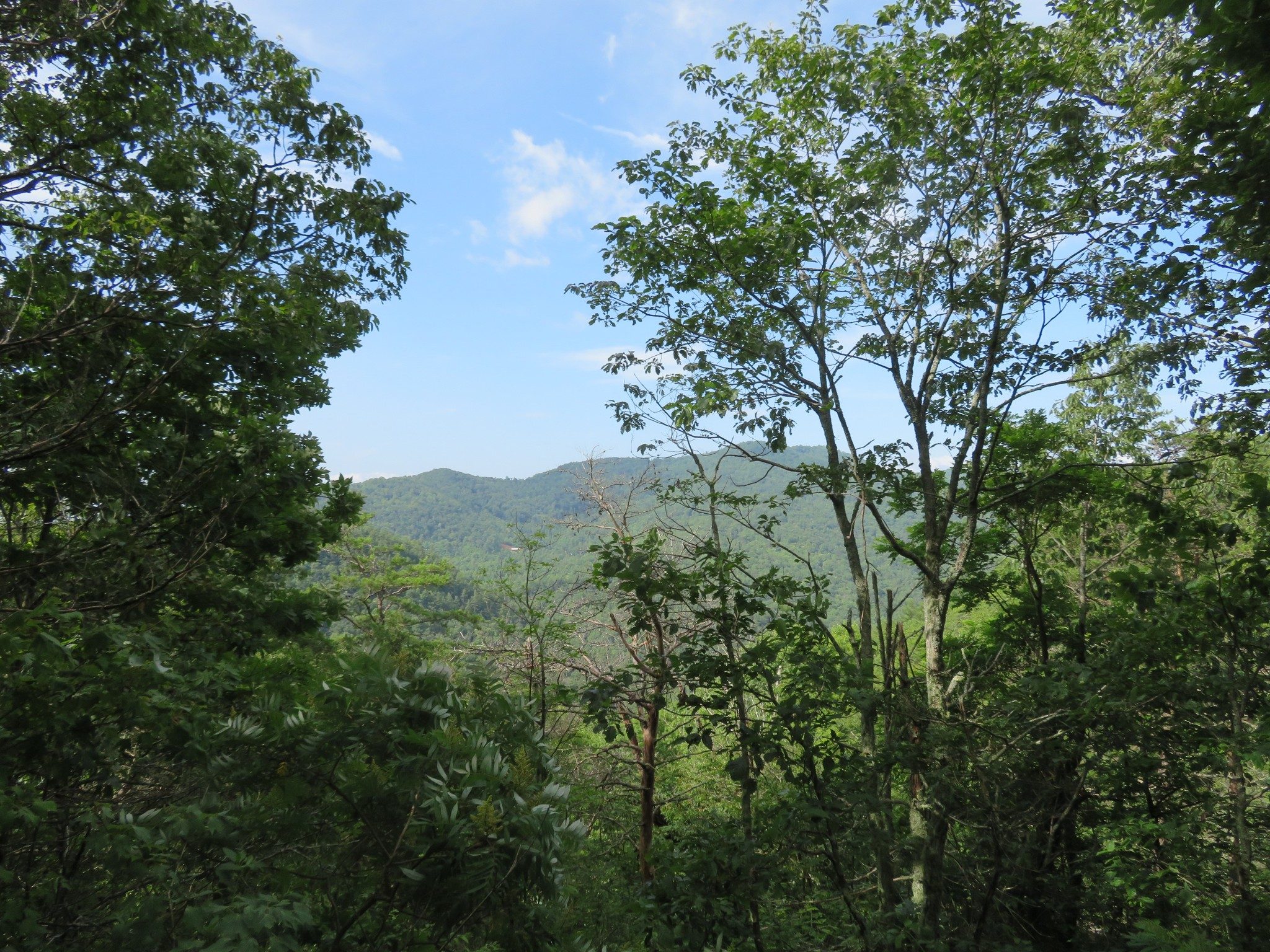 View from Lookoff Mtn.