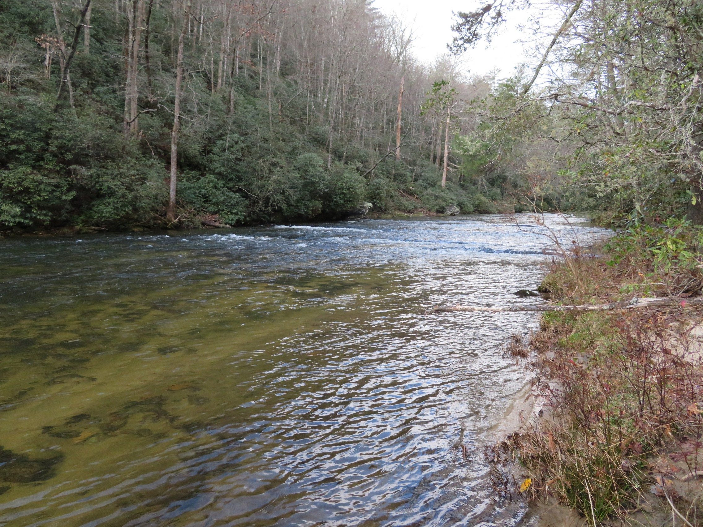 Chatooga River