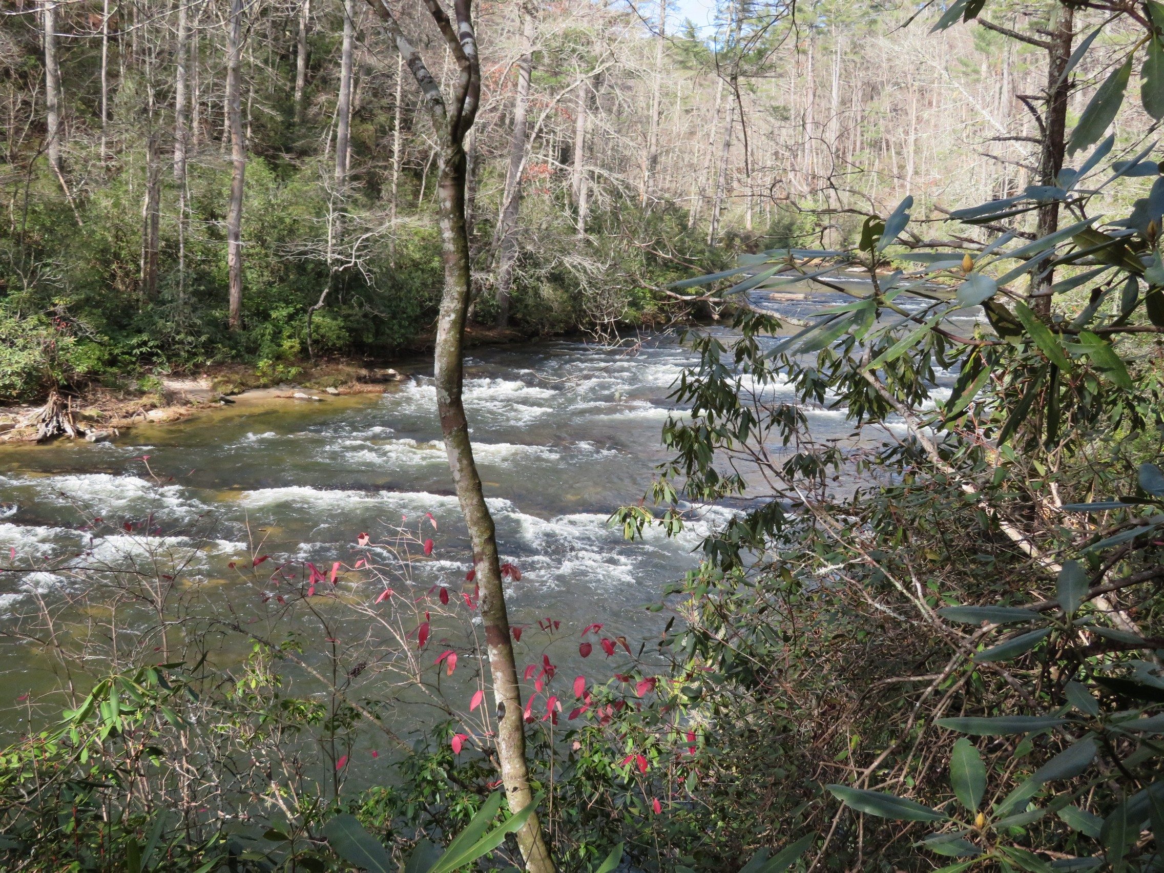 Nice rapids on the Chatooga River