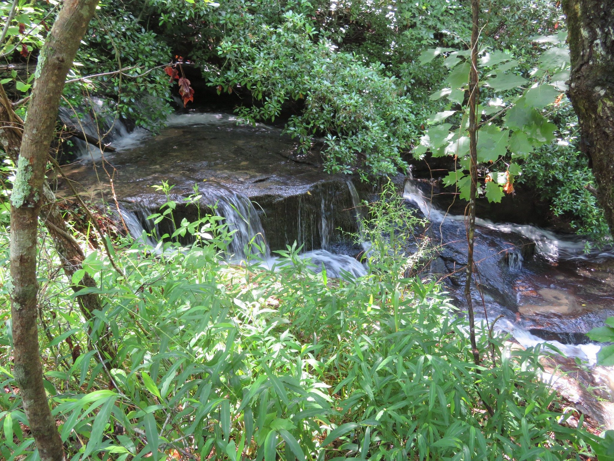 Cascade Downstream of Southern Creek Crossing