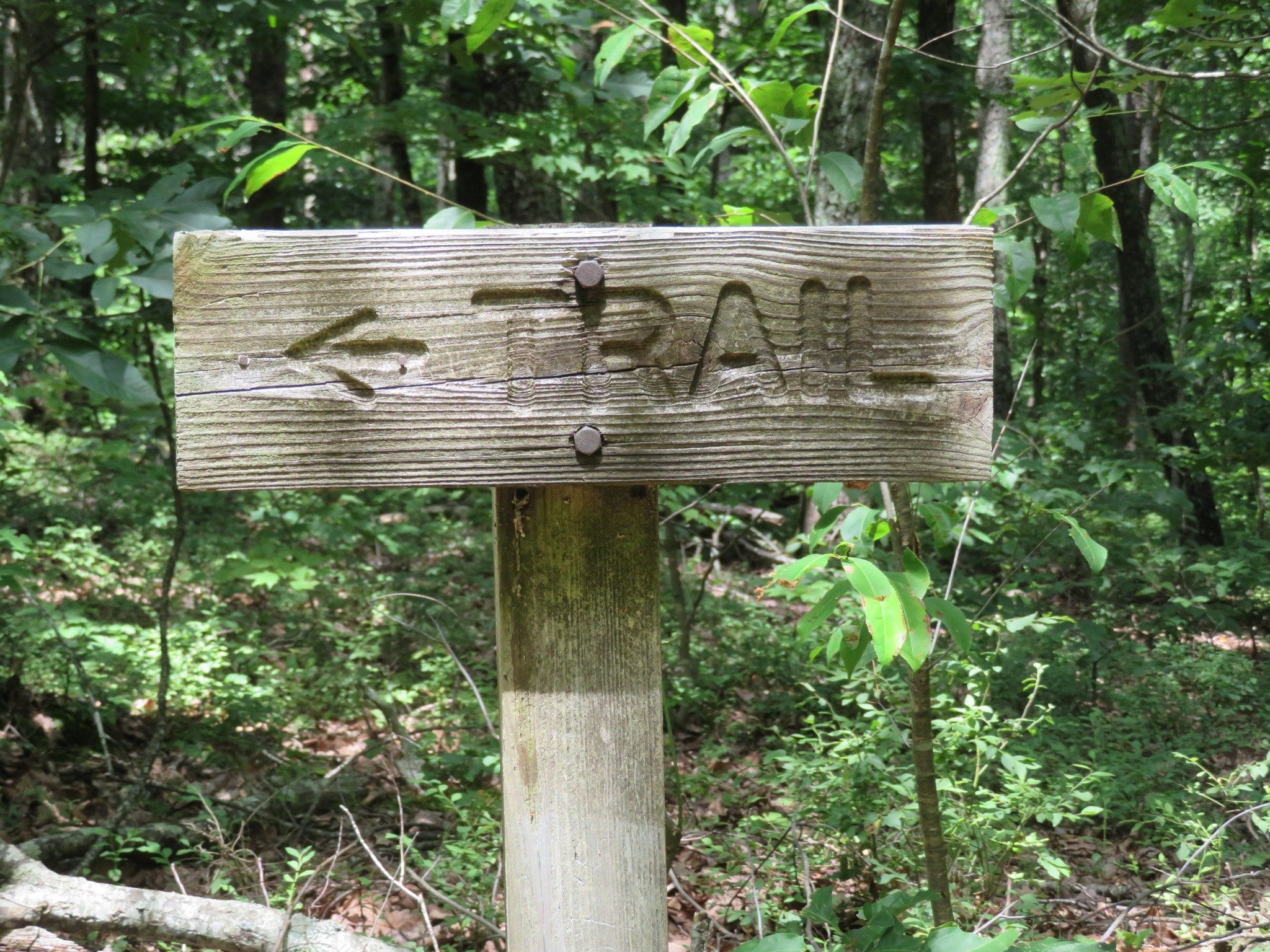 One of Very Few Trail Signs