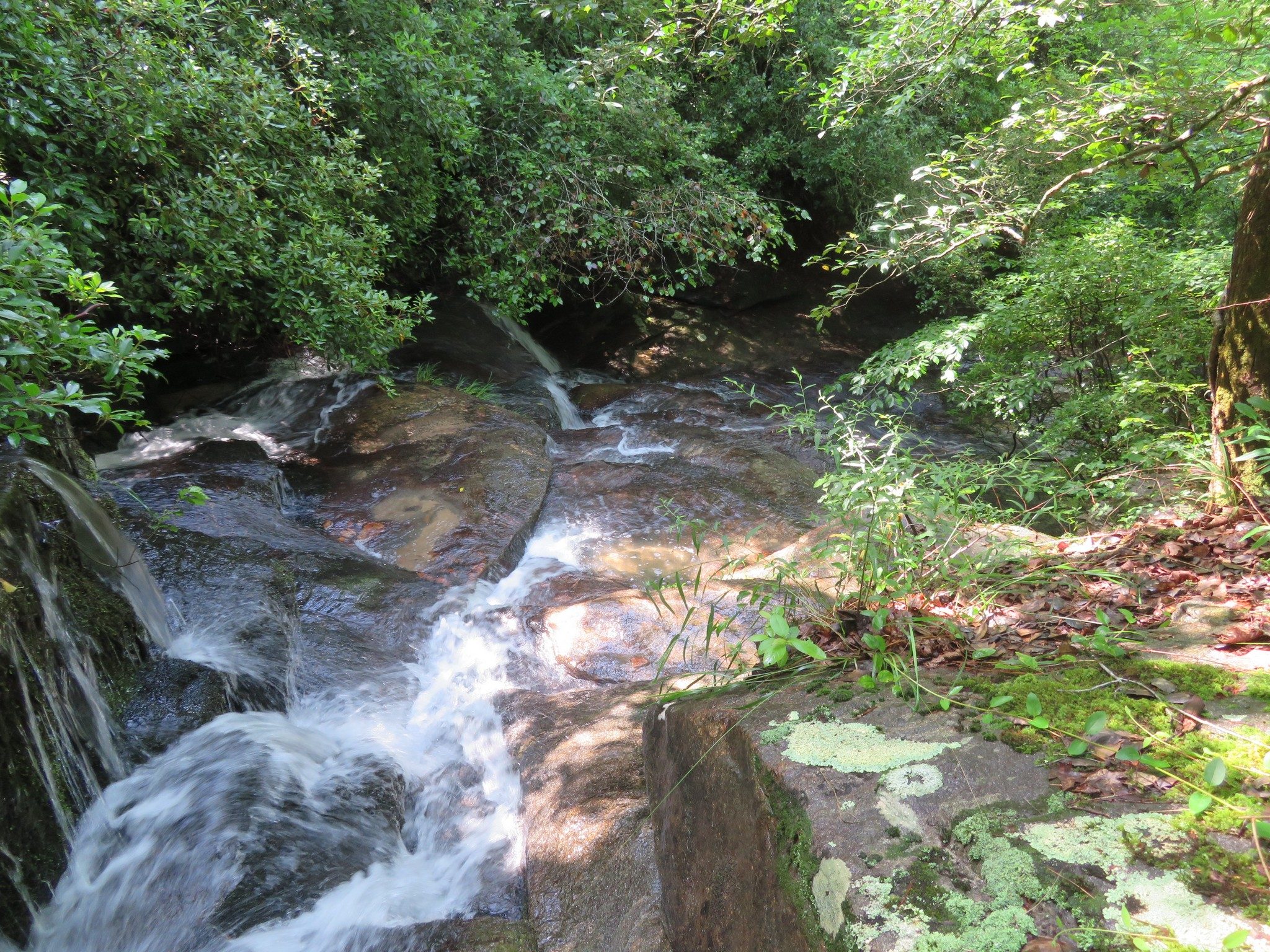 Cascade Downstream of Southern Creek Crossing
