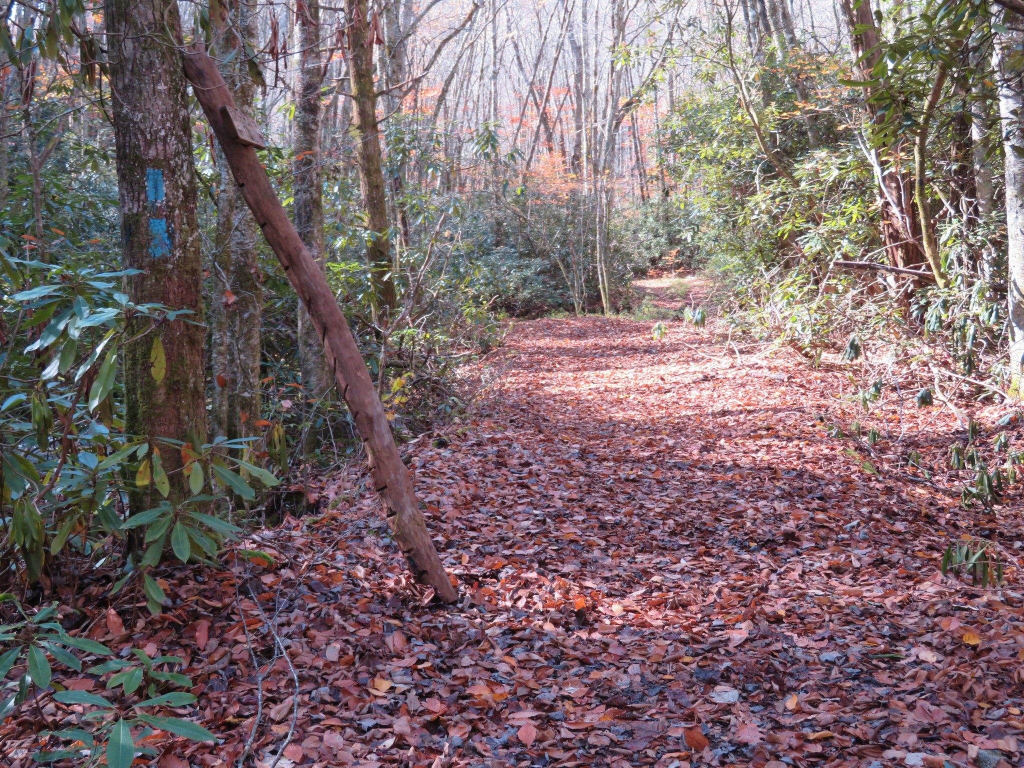 Turn right and it will take you up a draw and connect with the Park Ridge Trail