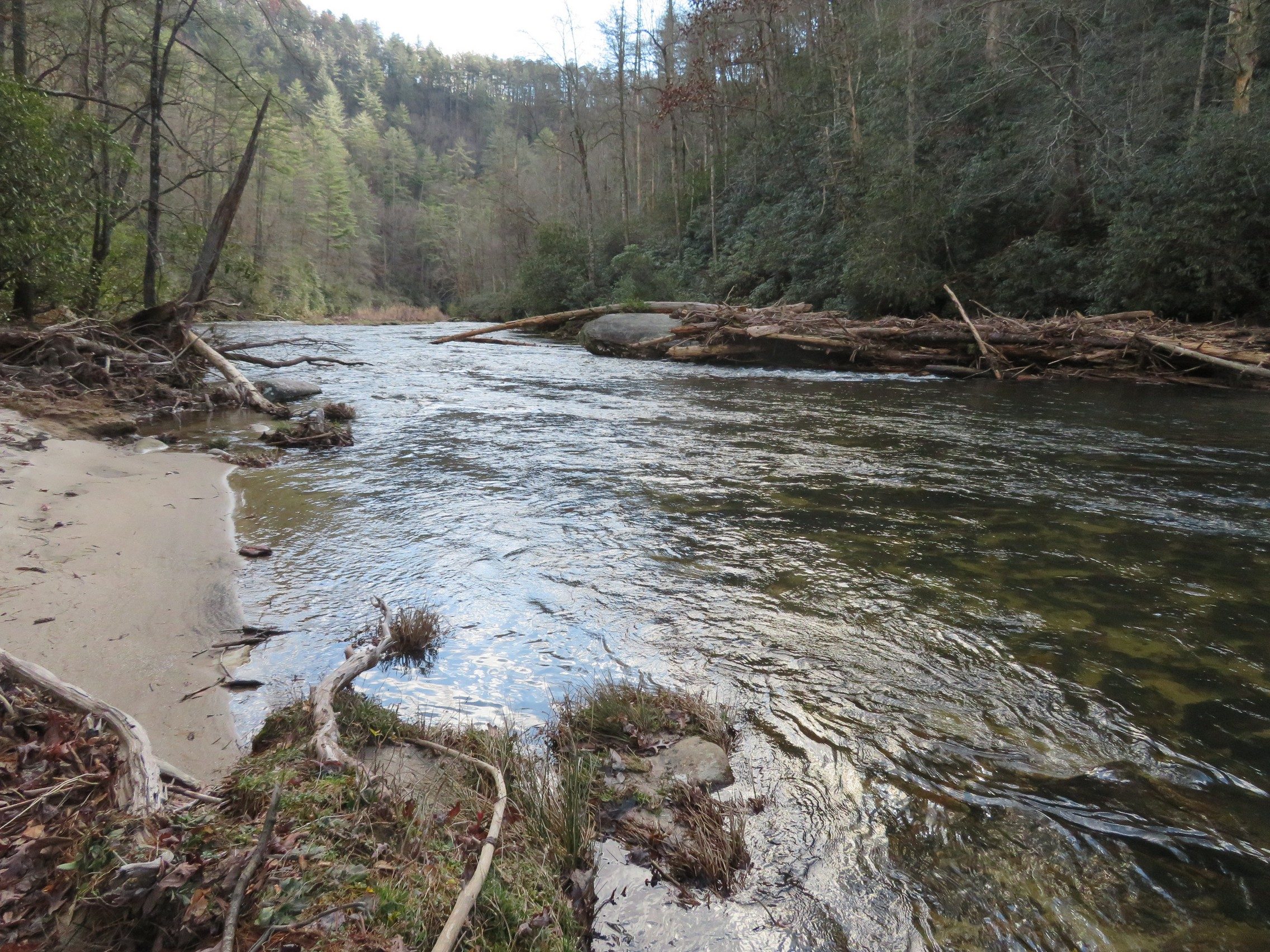 Chatooga River