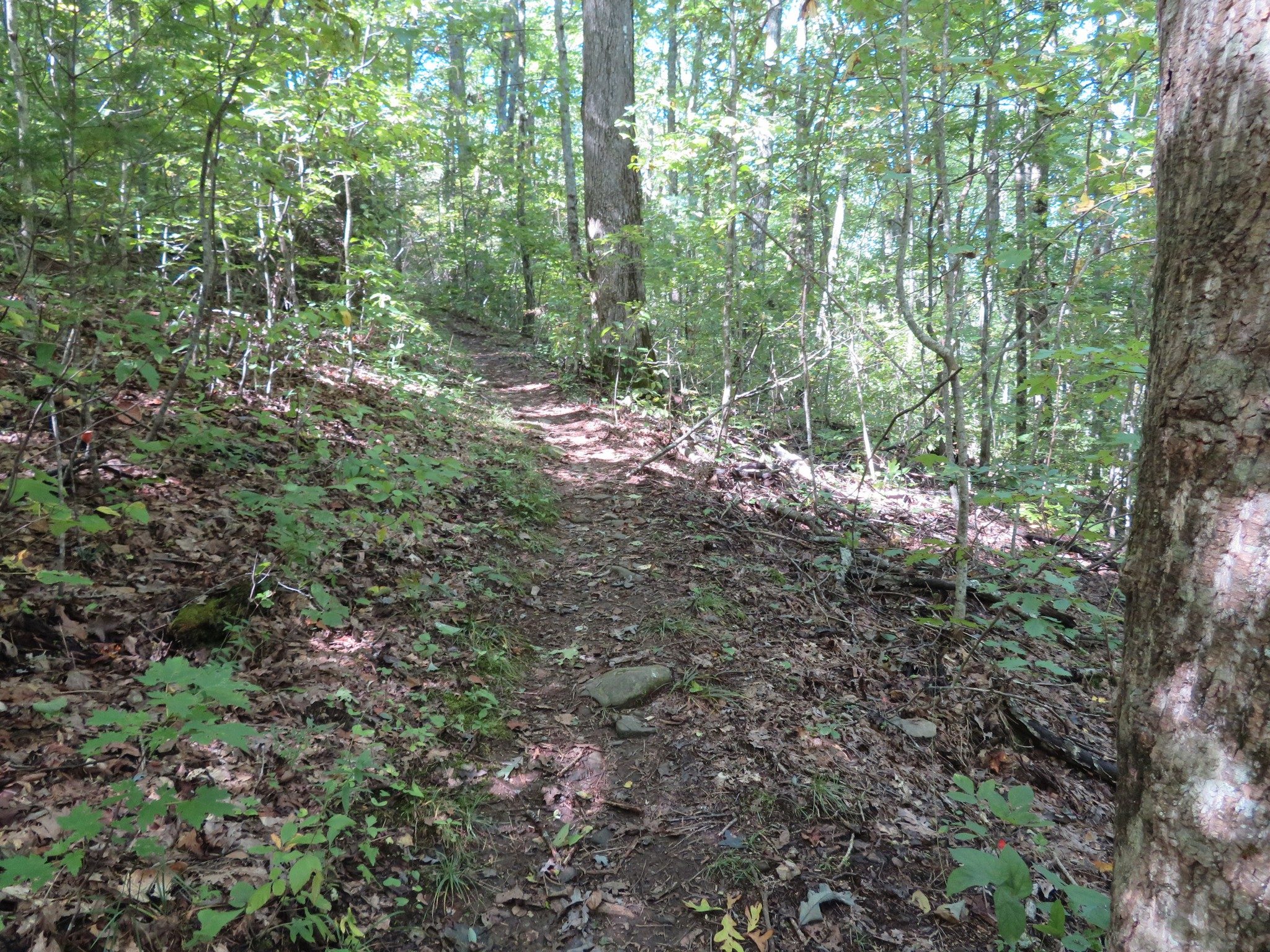 Typical trail conditions
