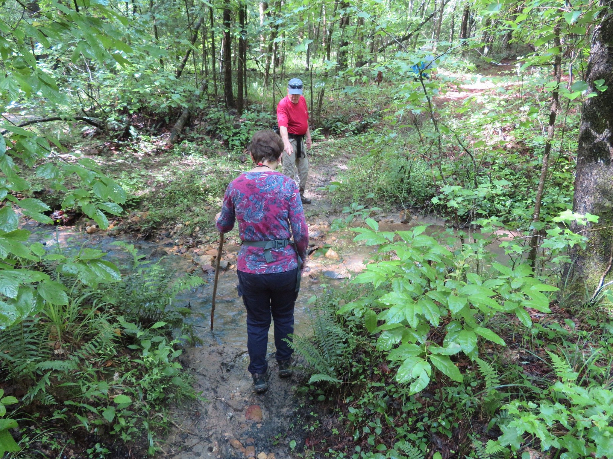 Intermittent Stream Crossing