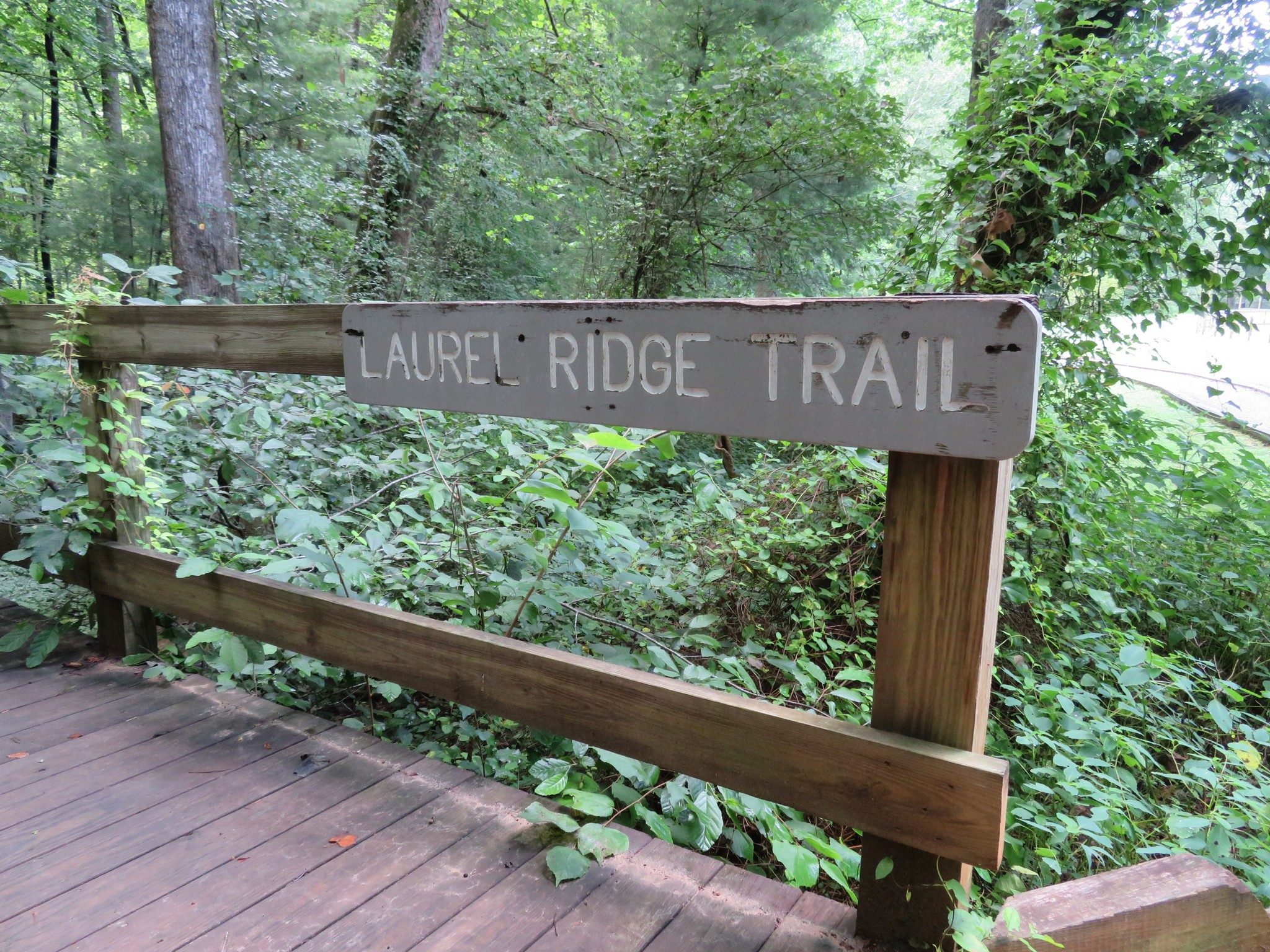 Laurel Ridge Trailhead Sign