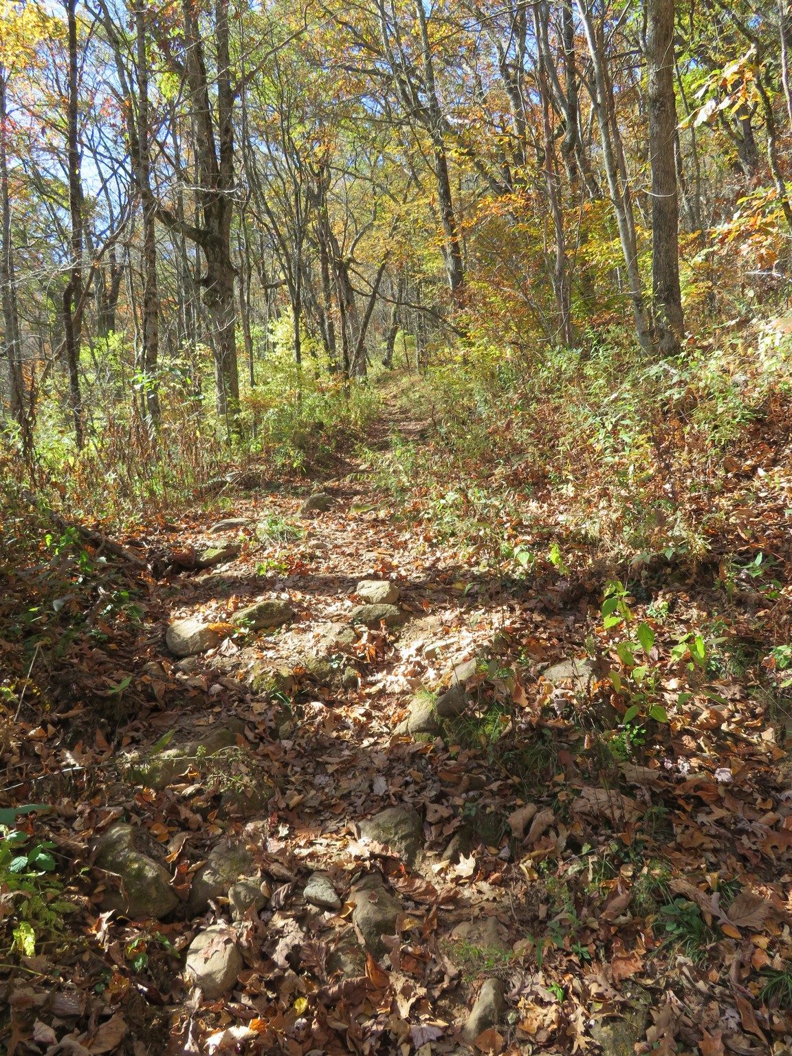 Rocky trail down to AT Shelter near Siler Bald