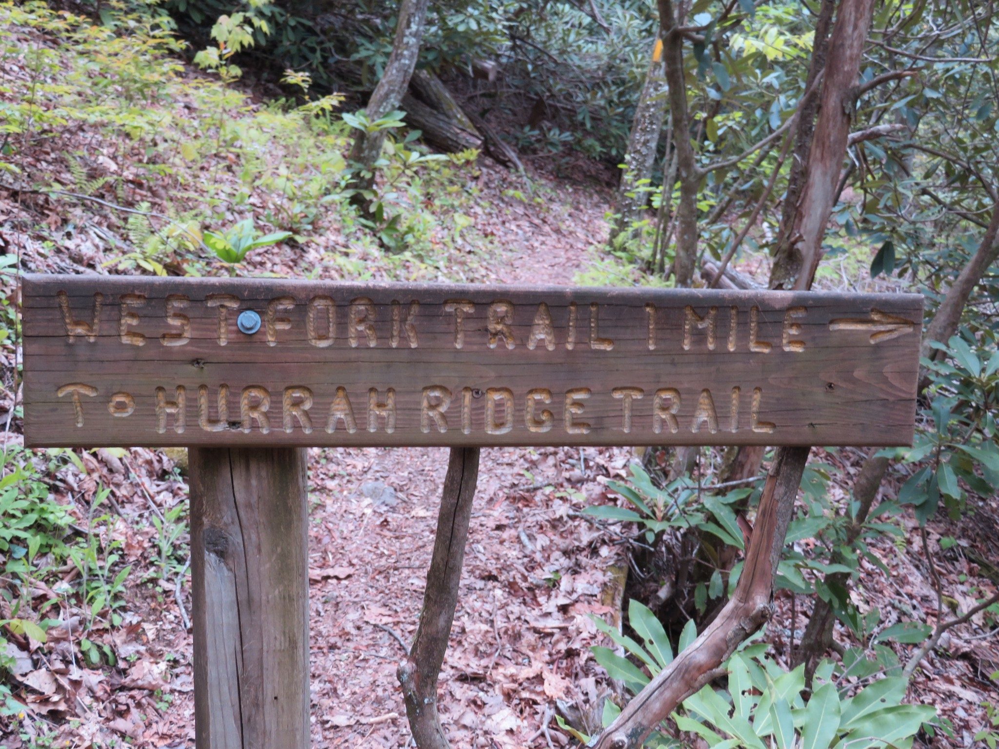 One of Many Trail Markers