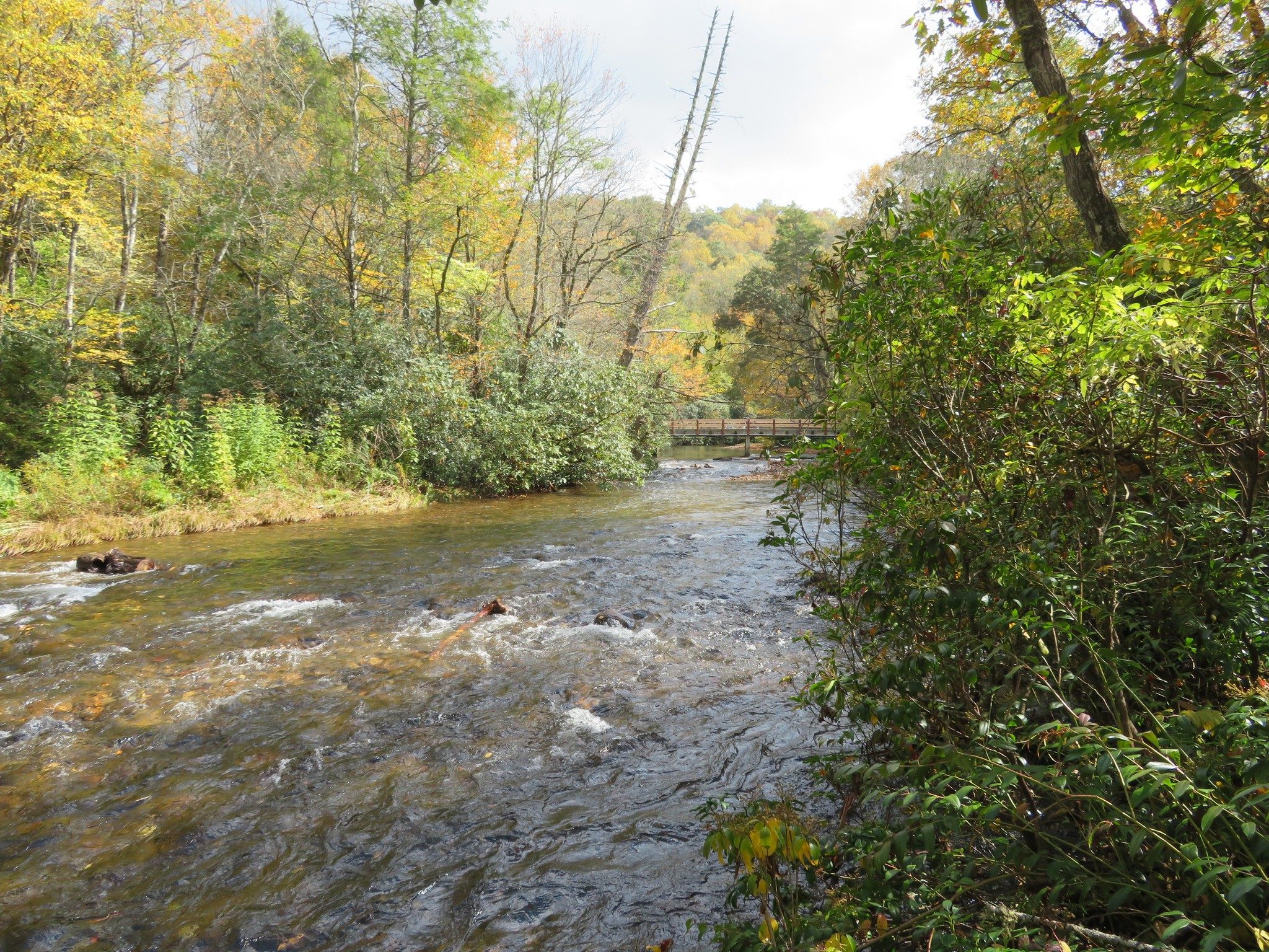 View of Nantahala River looking upstream on final leg of hike