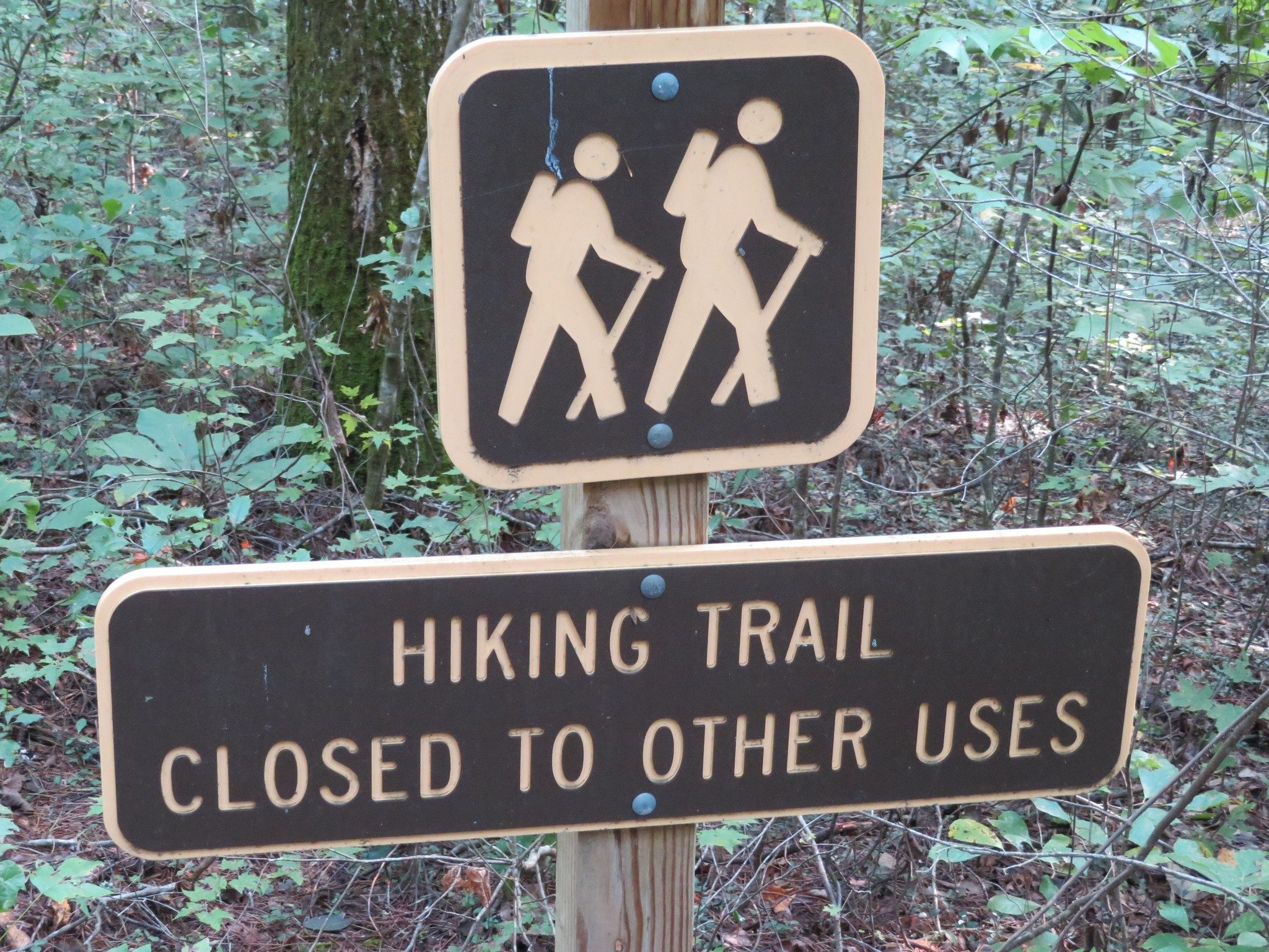 Curious sign a trailhead