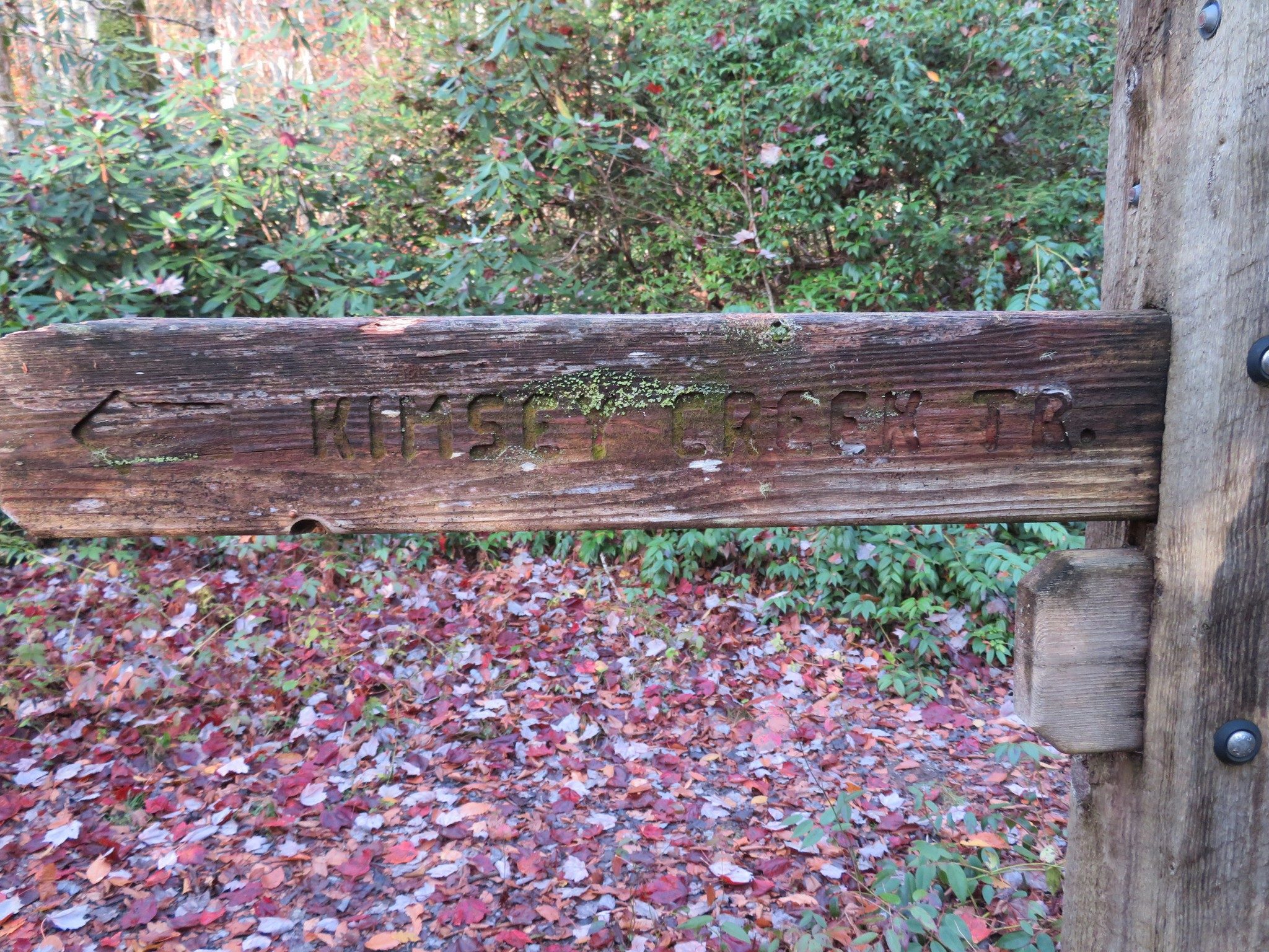 Kimsey Creek Trail Sign