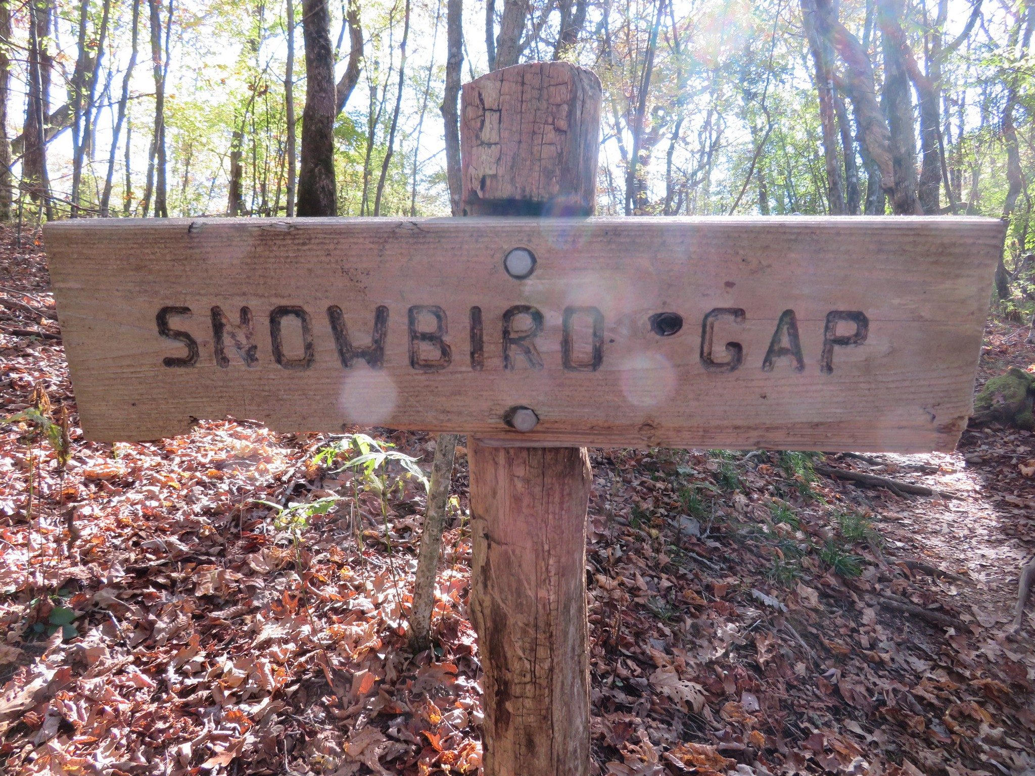 Sign at Snowbird Gap near the base of the climb up Siler Bald