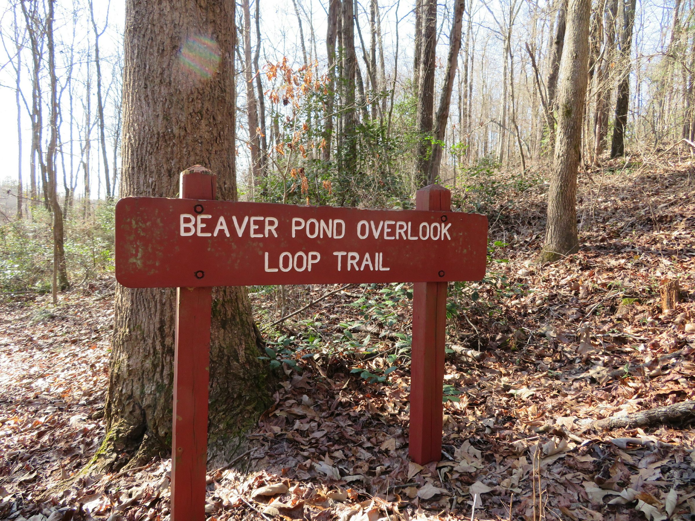 Trail sign for the Beaver Dam Overlook Trail
