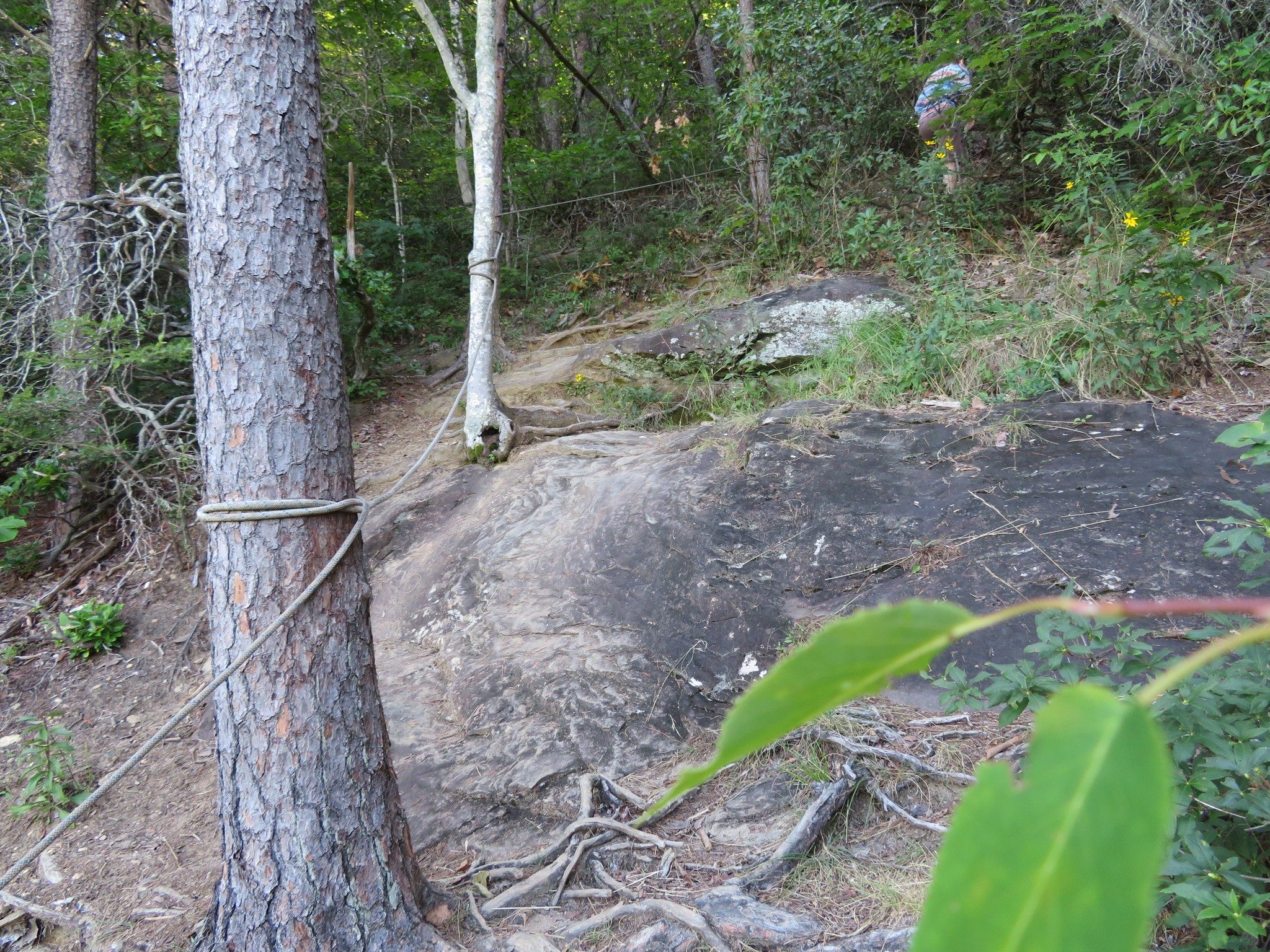 Thank goodness for that rope!