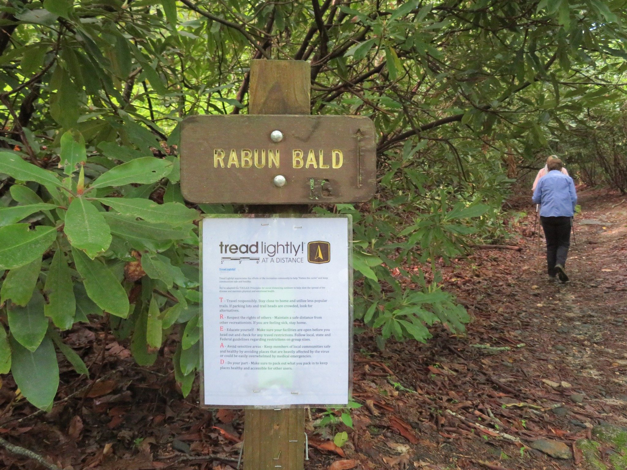 Rabun Bald Trailhead with COVID-19 Message