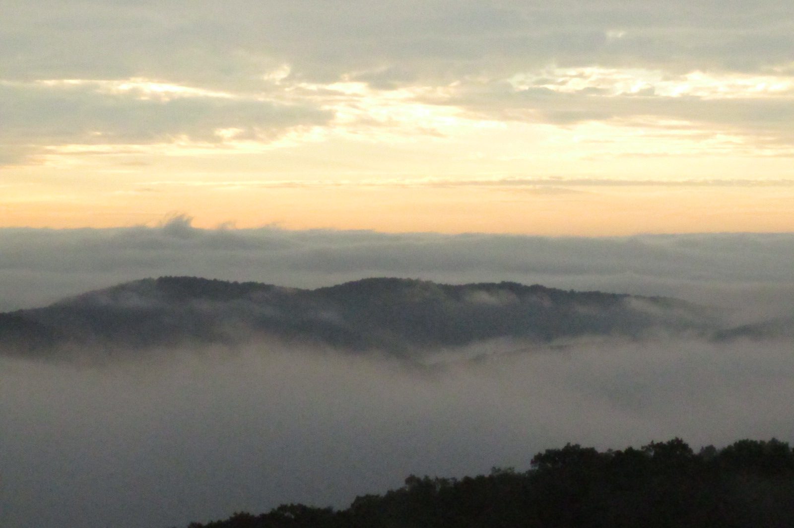 Morning photo from Dick Metzgar's back deck
