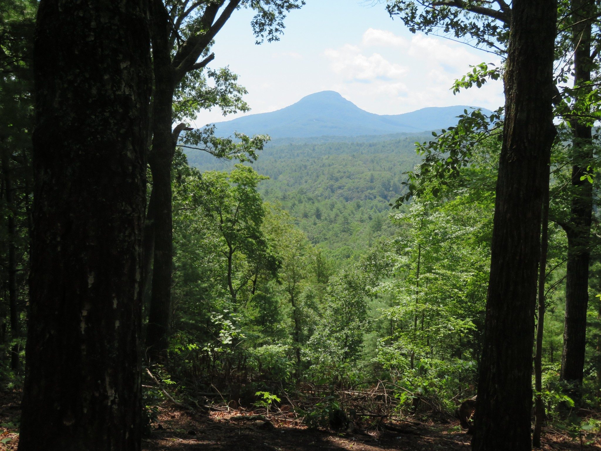 Yonah  and Pink Mtns at Peak of Laurel Ridge Trail