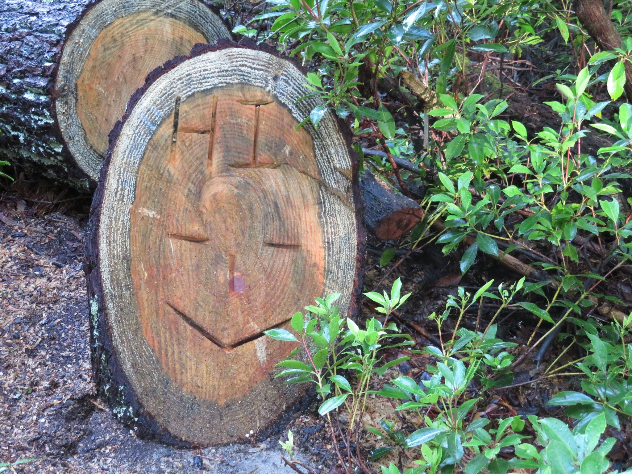 Nice Chainsaw Artwork Welcome Along the Trail