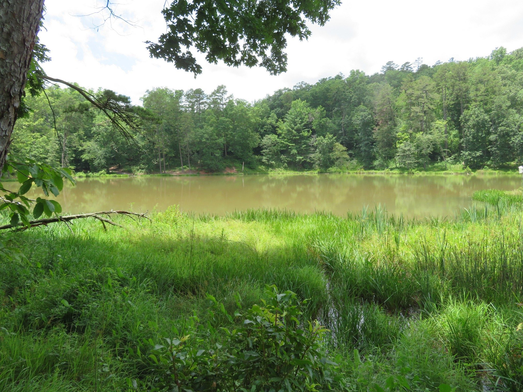 Looking West onto Nancy Town Lake