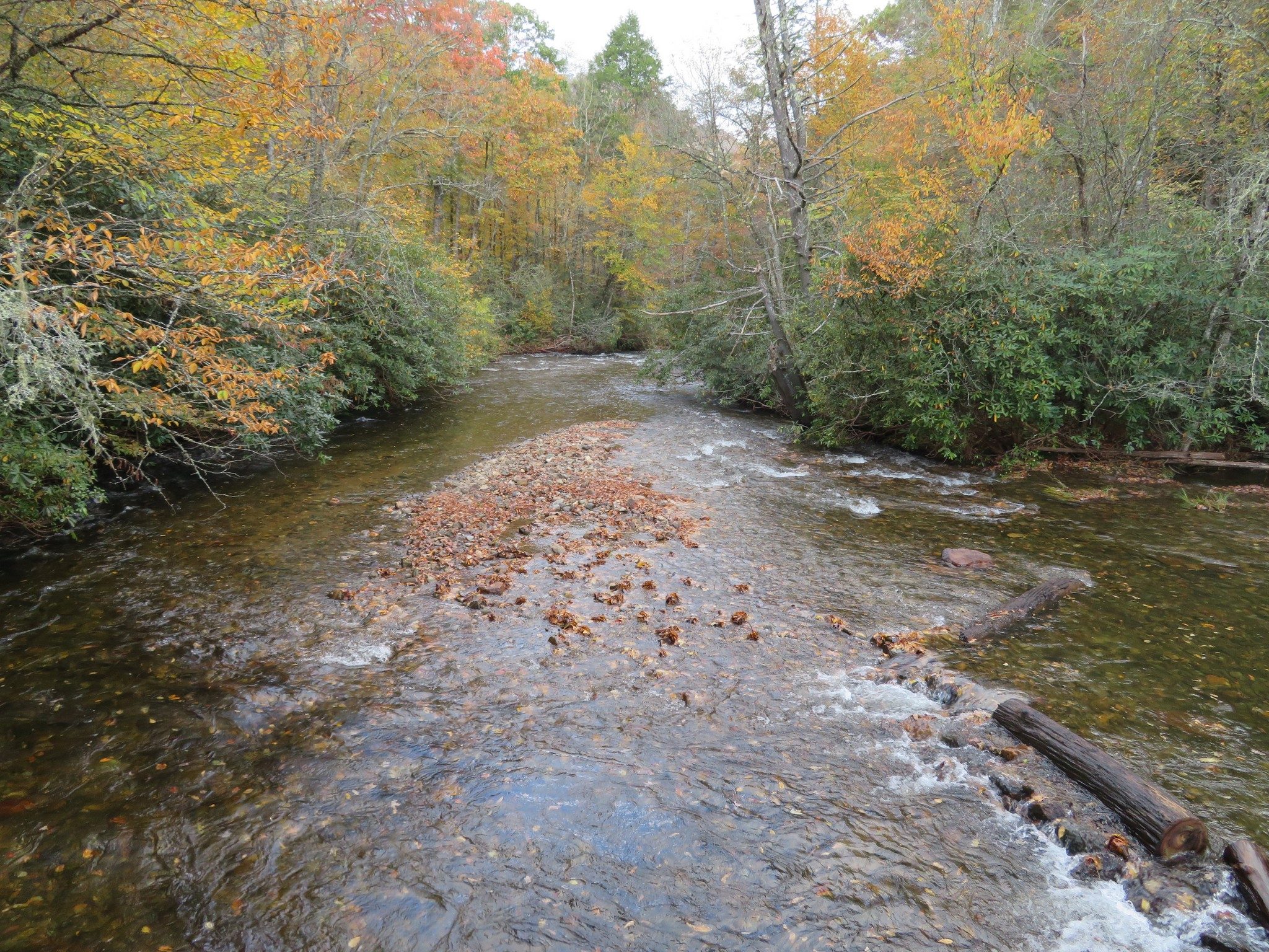 Look downstream on Nantahala River