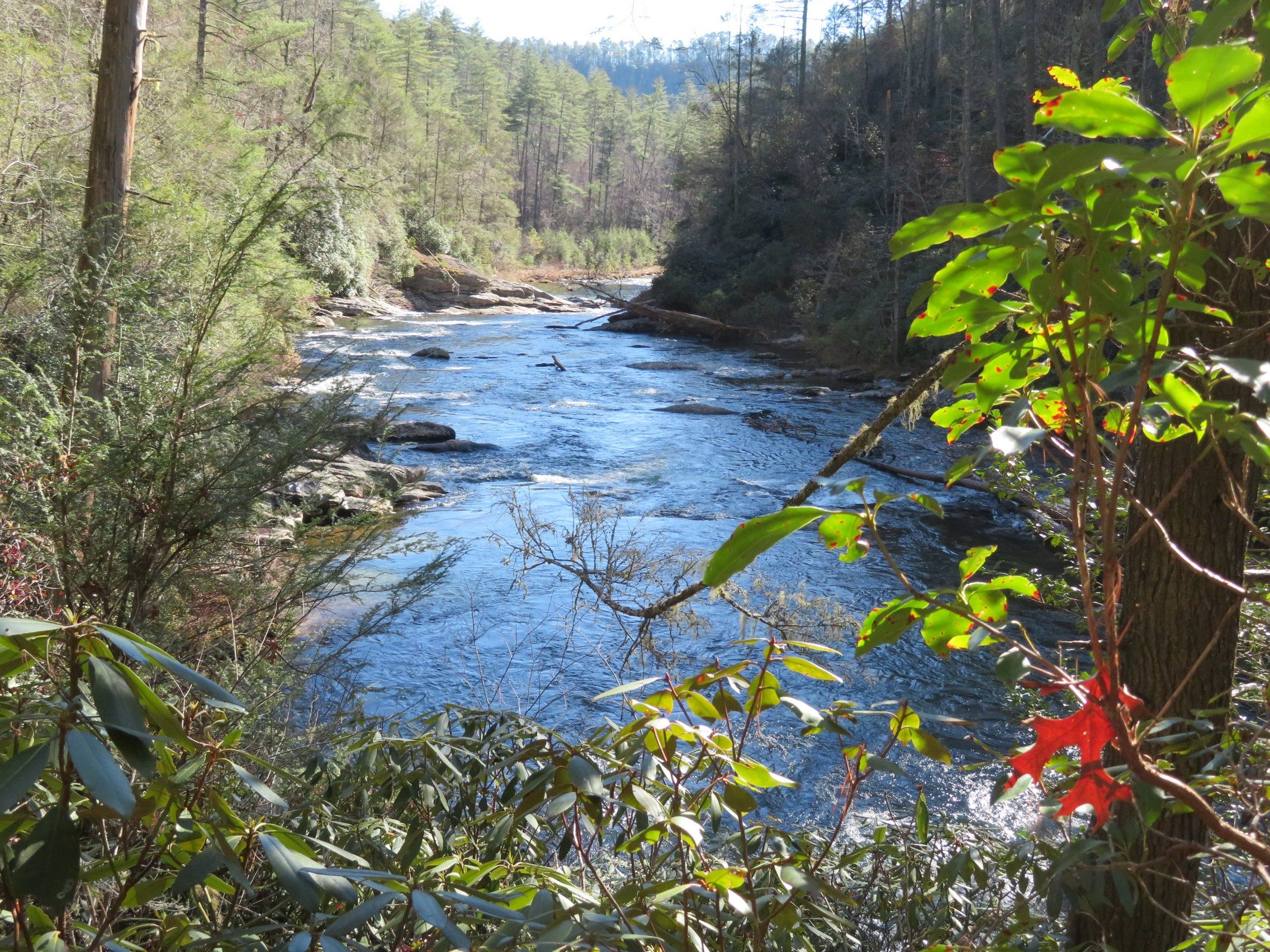 Last section of the Chattooga River prior to returning on Crack-in-the-Rock Trail