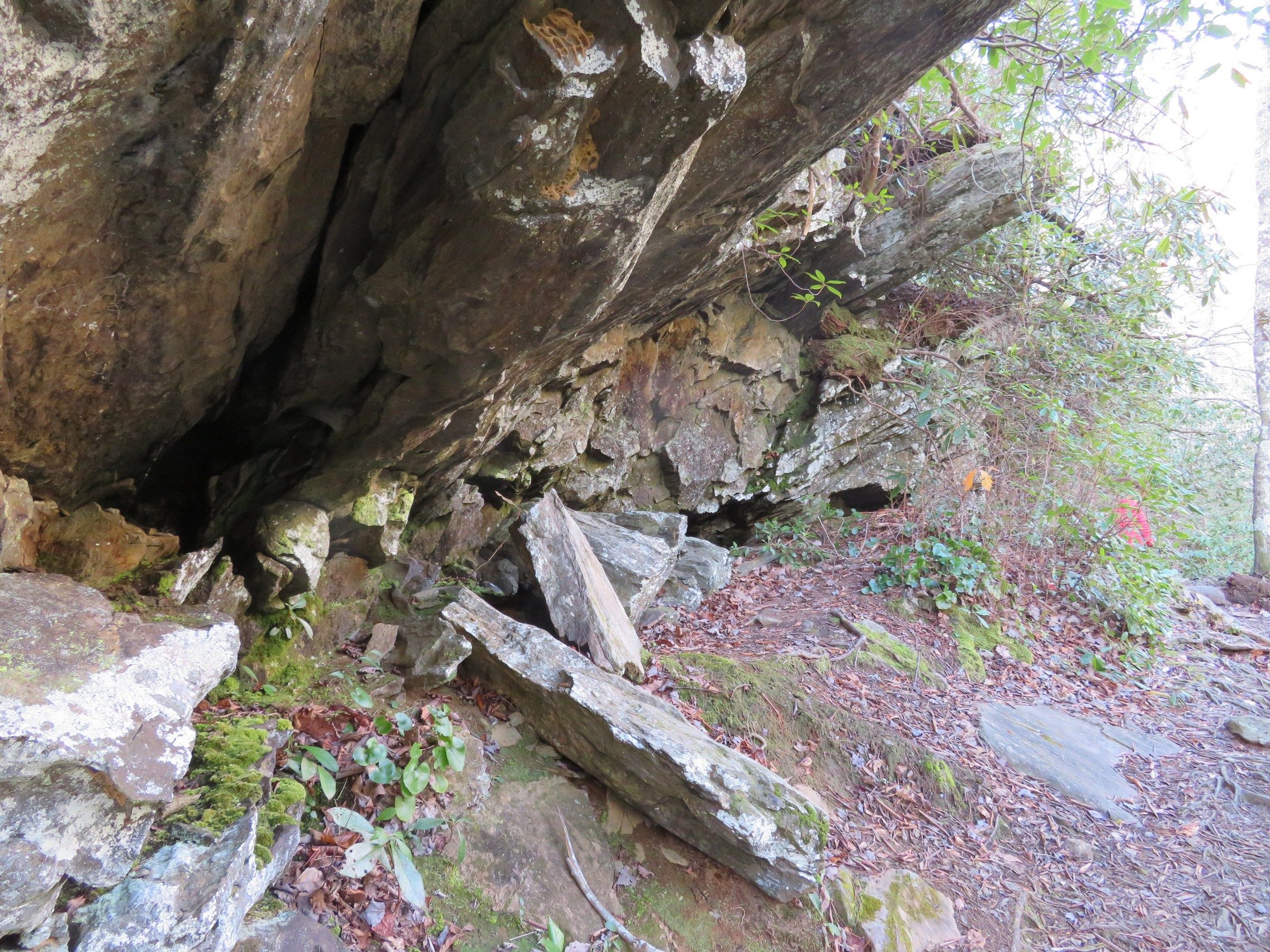 Rock overhang along trail